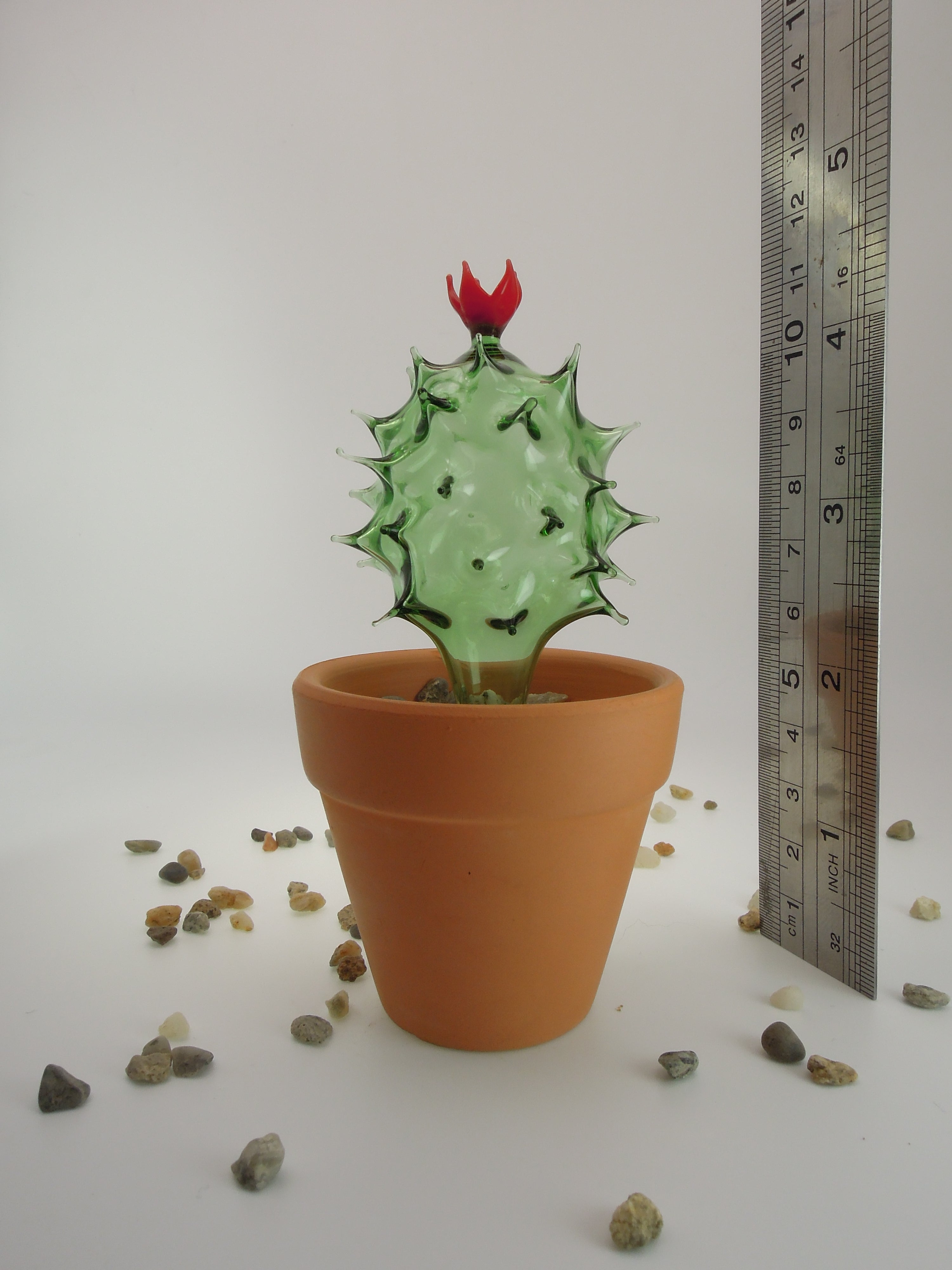 Glass Cactus Green Burgundy