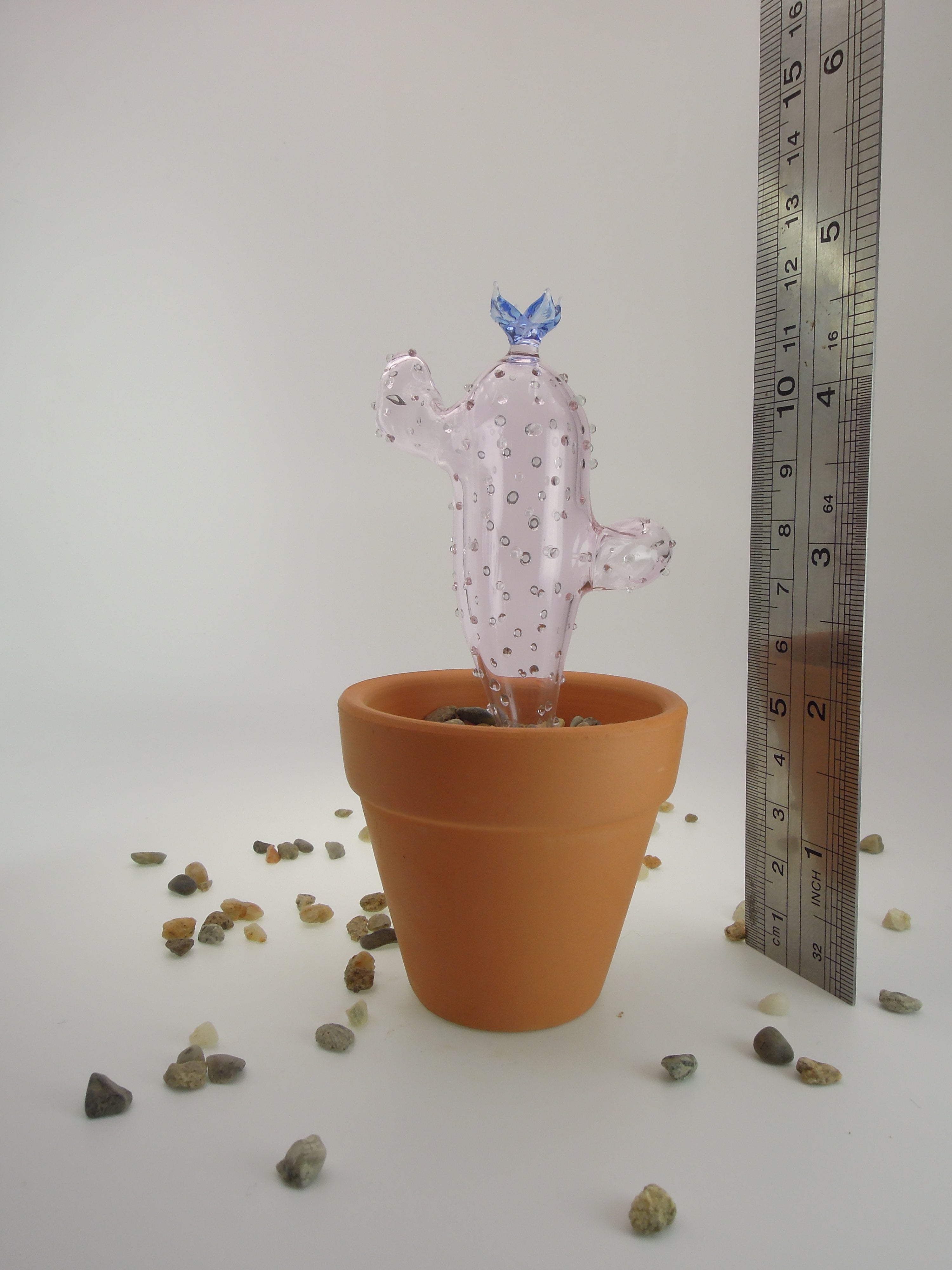 Glass Cactus Wisteria Purple