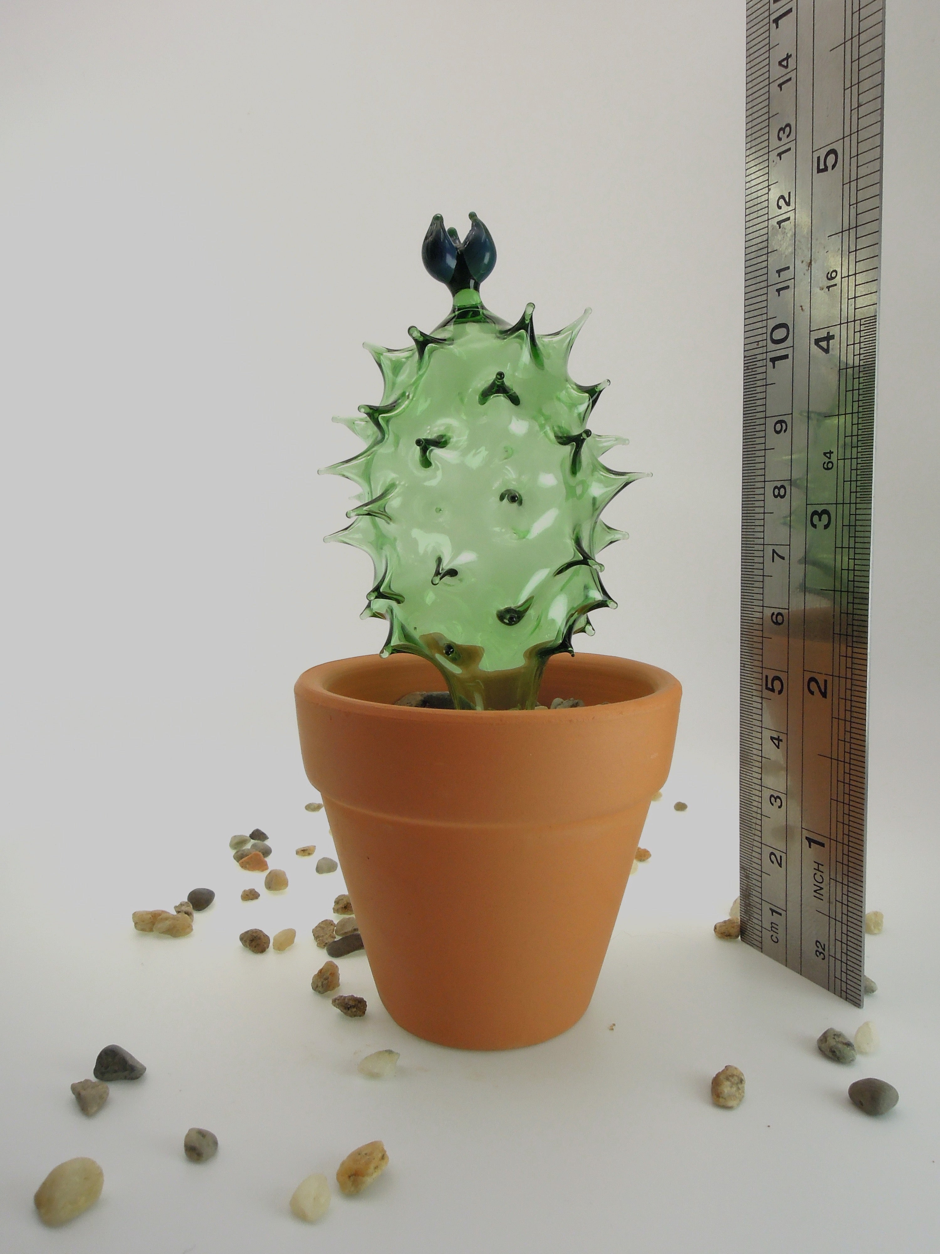 Glass Cactus Bay Leaf