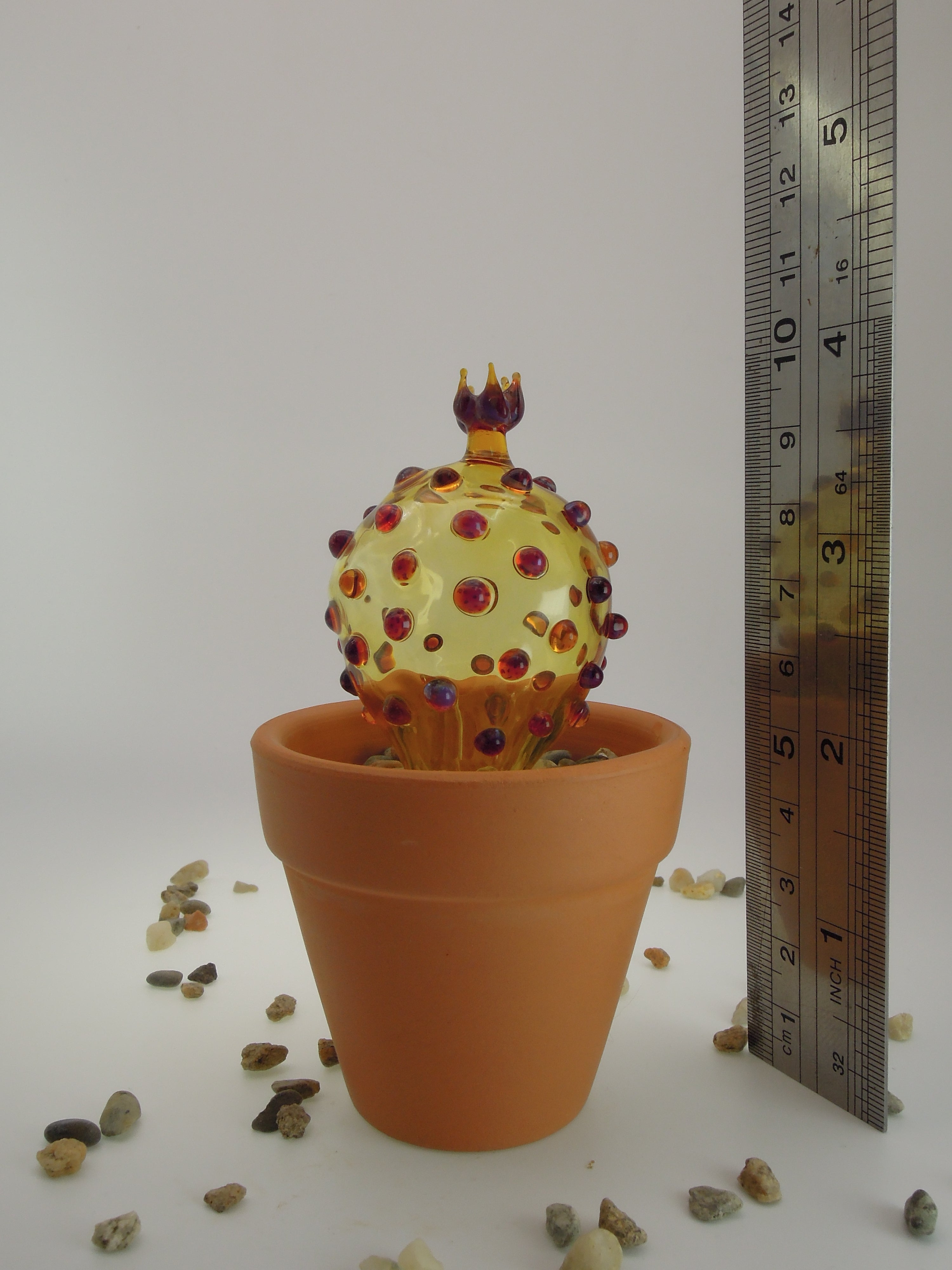 Glass Cactus Luxor Gold