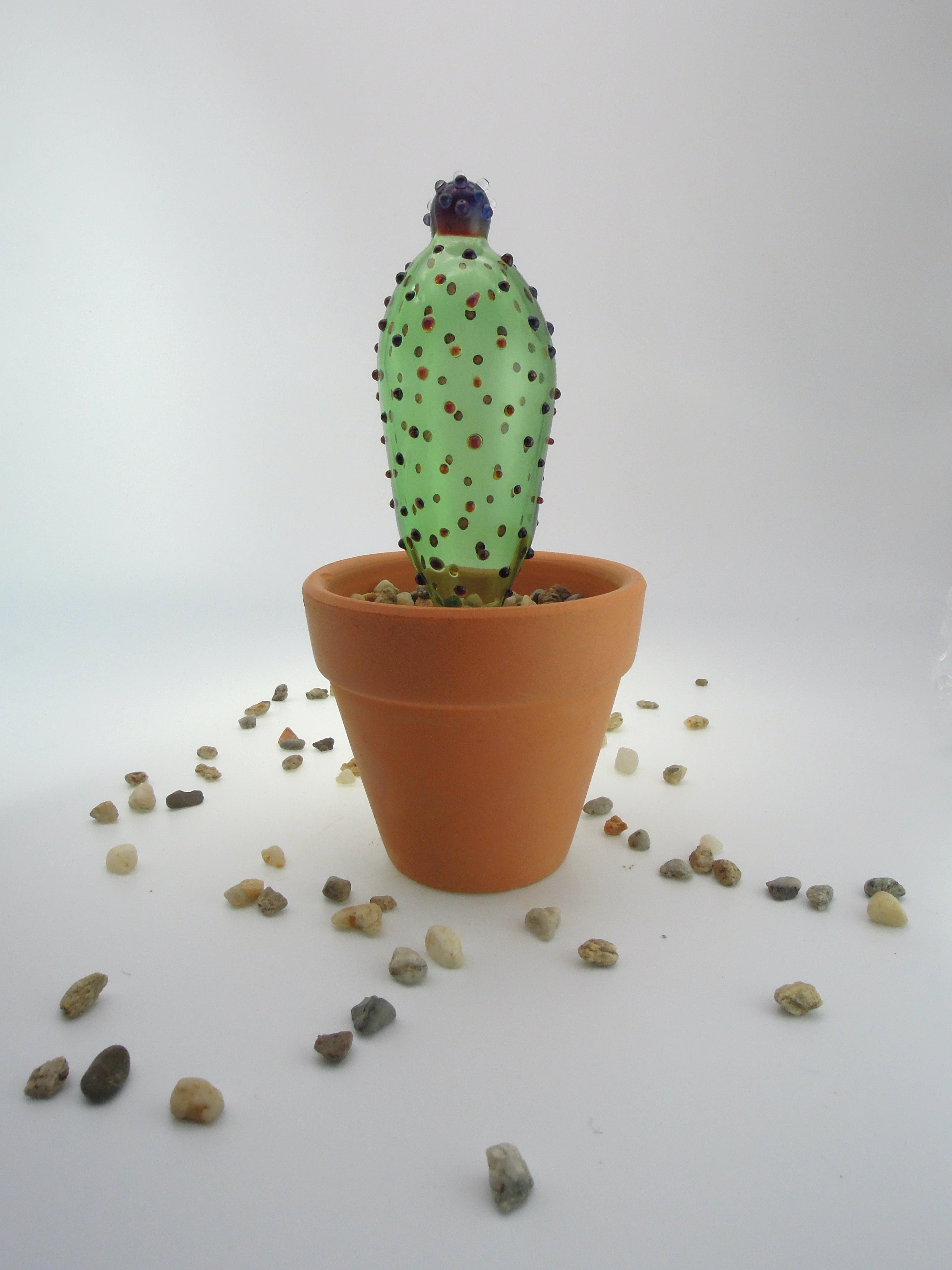 Glass Cactus Green Thunder