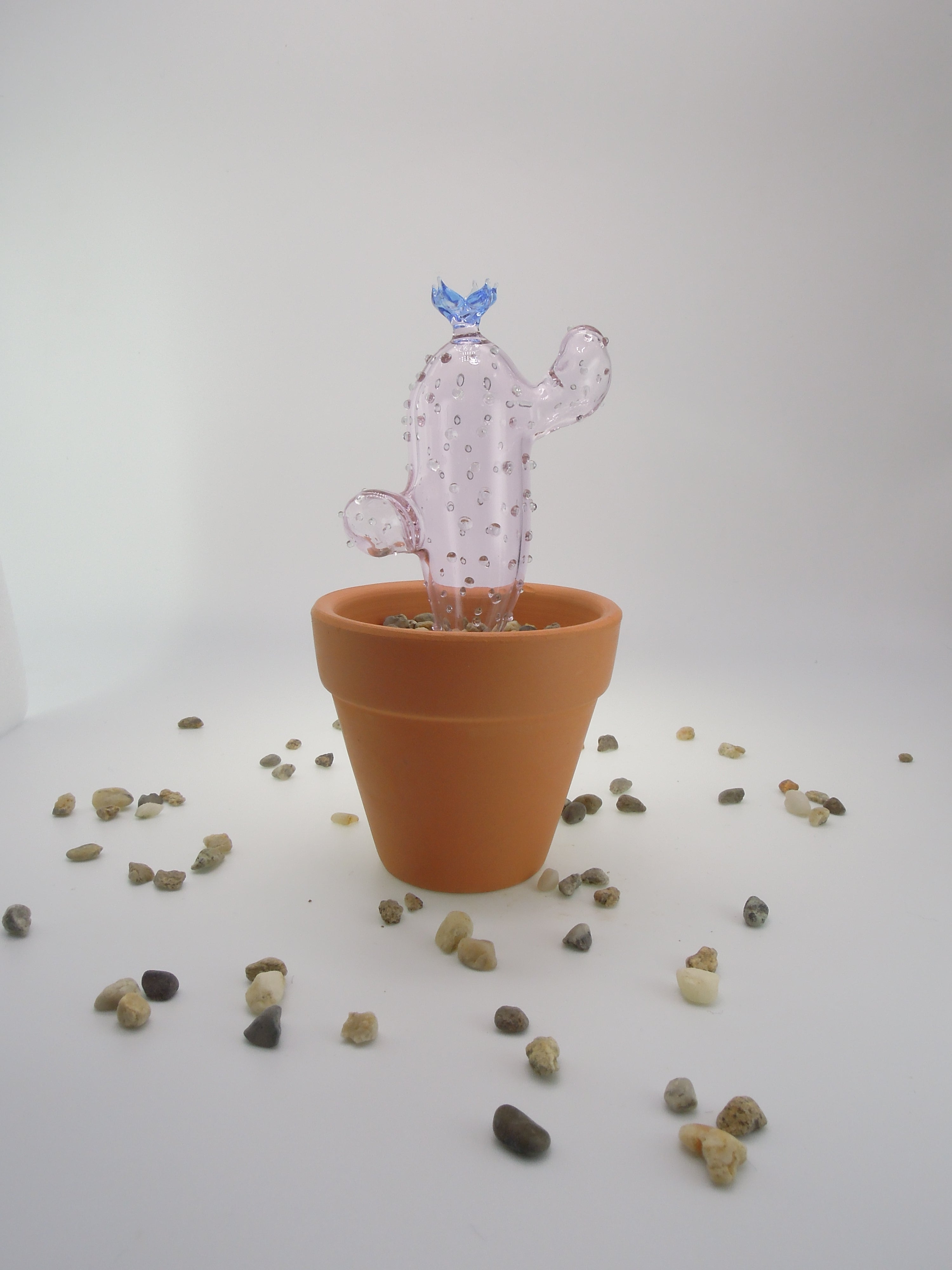 Glass Cactus Wisteria Purple