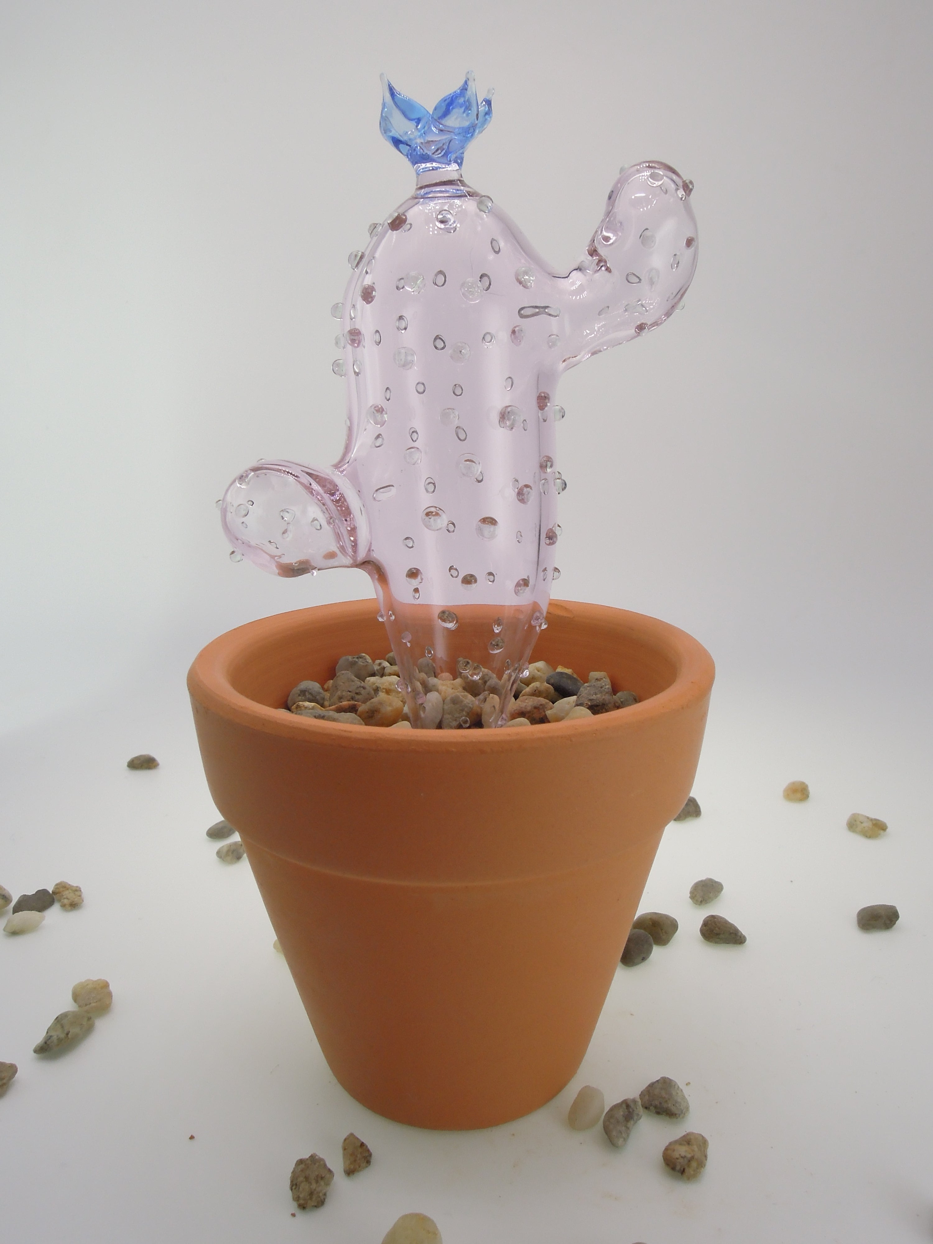 Glass Cactus Wisteria Purple