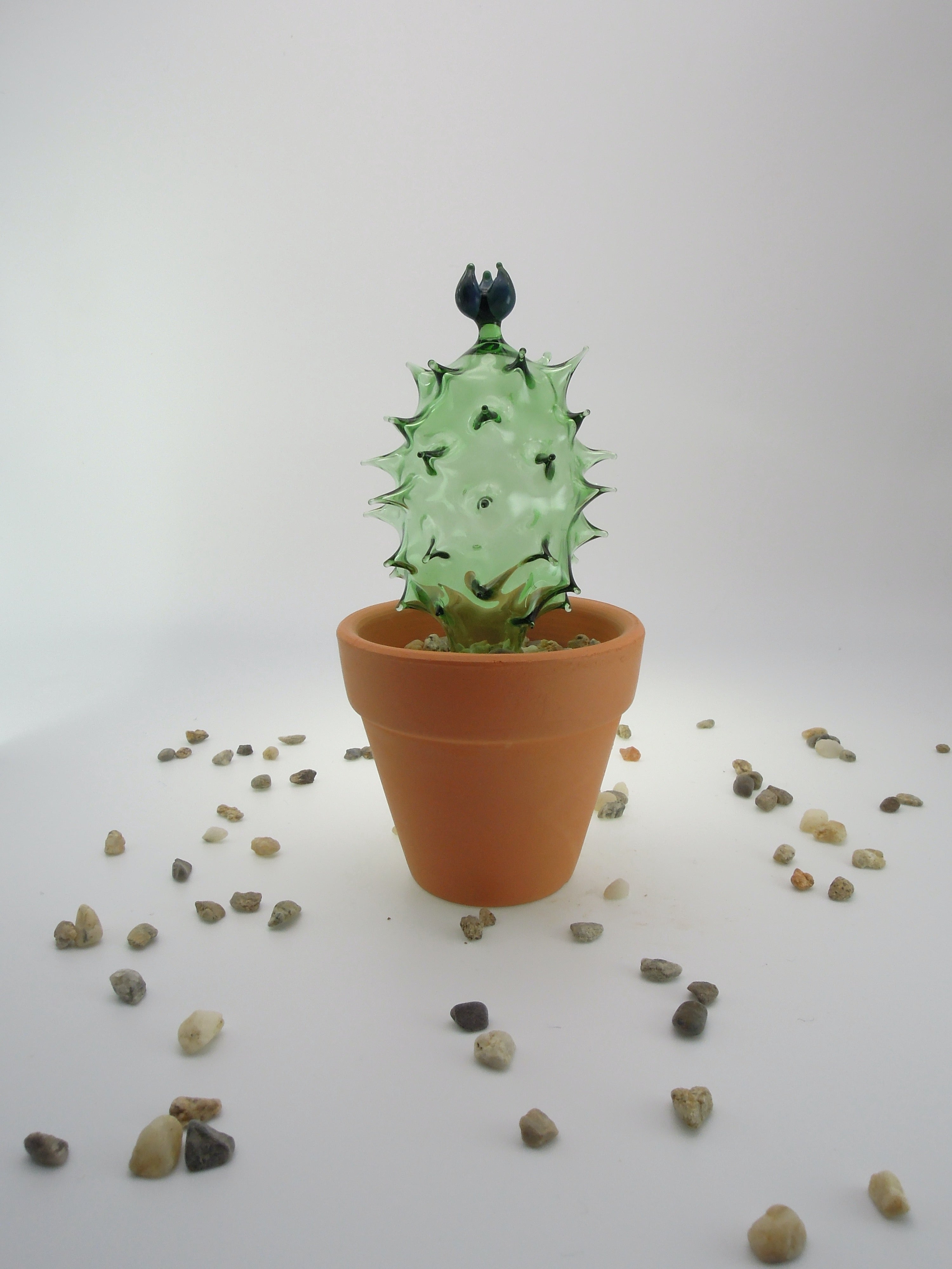 Glass Cactus Bay Leaf