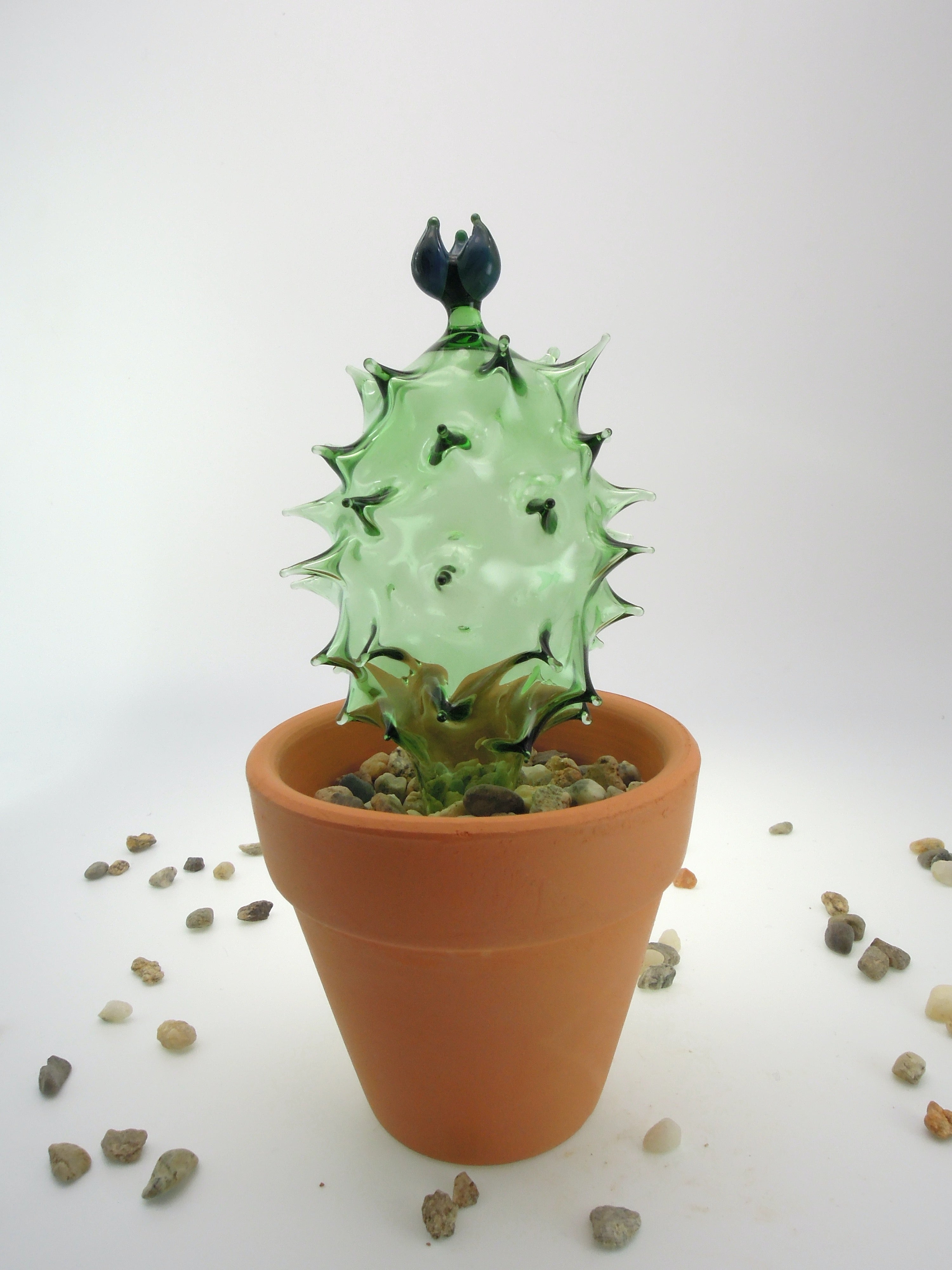 Glass Cactus Bay Leaf