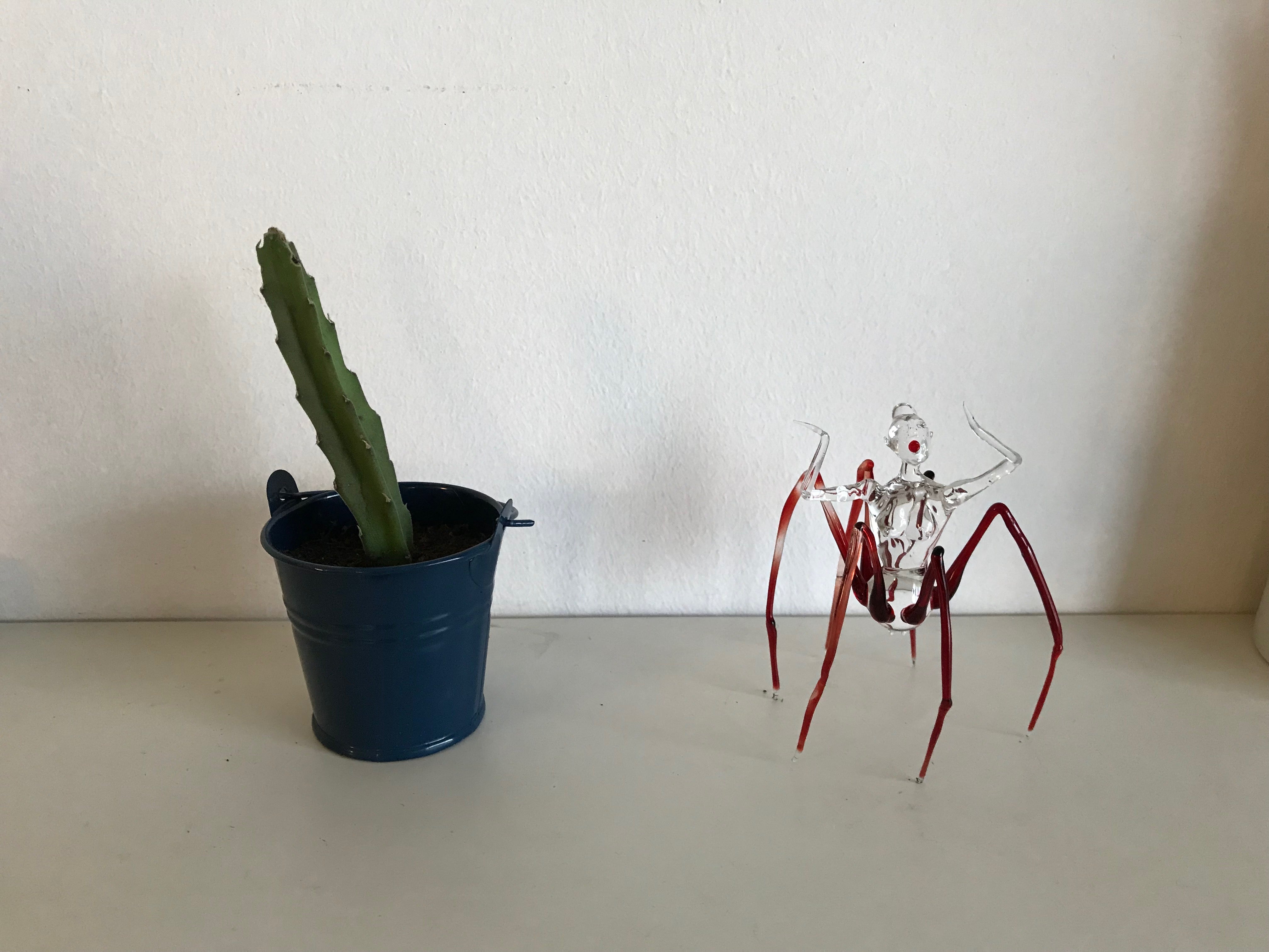 Arachne in a Glass Dome