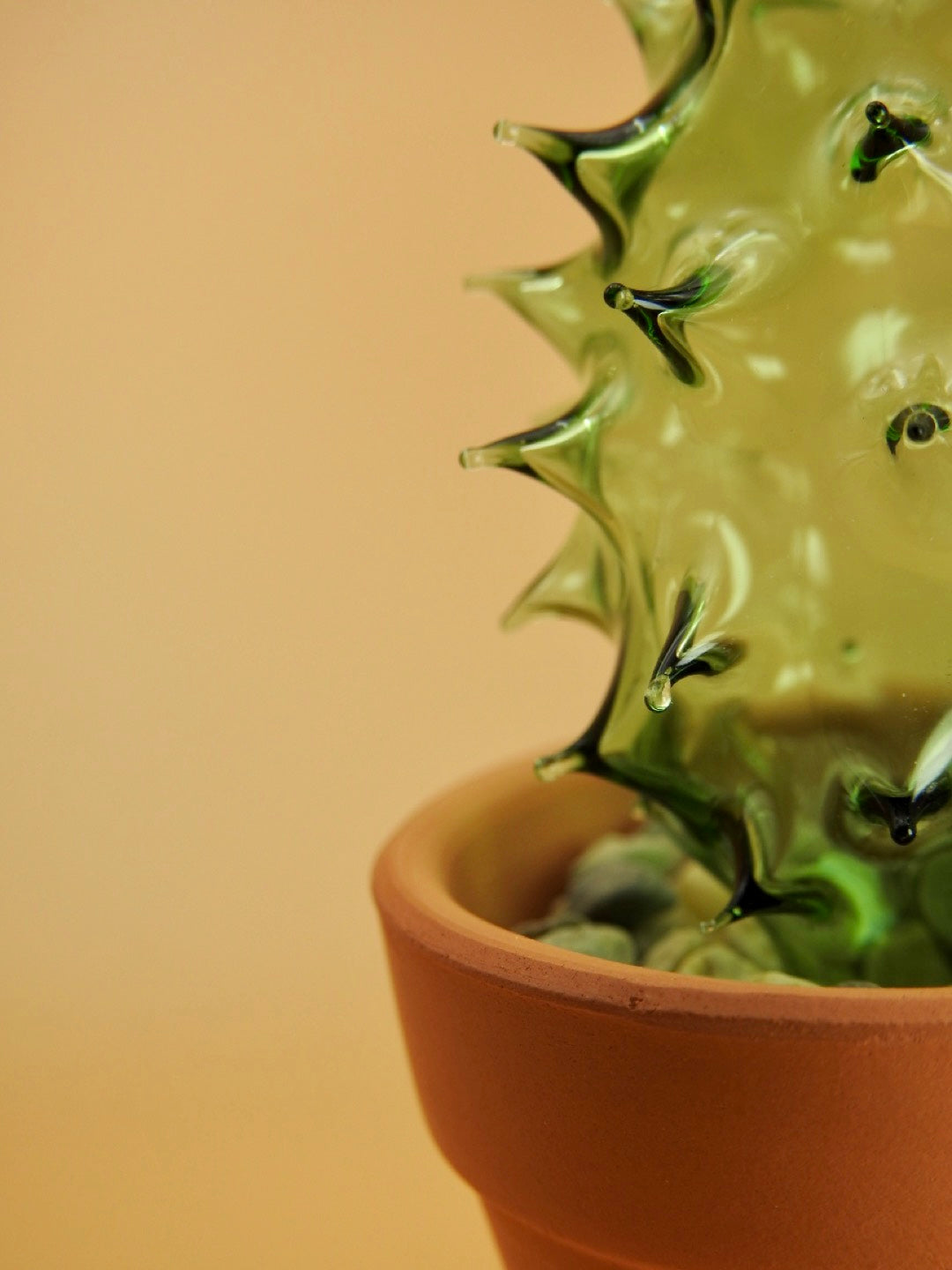 Glass Cactus Bay Leaf