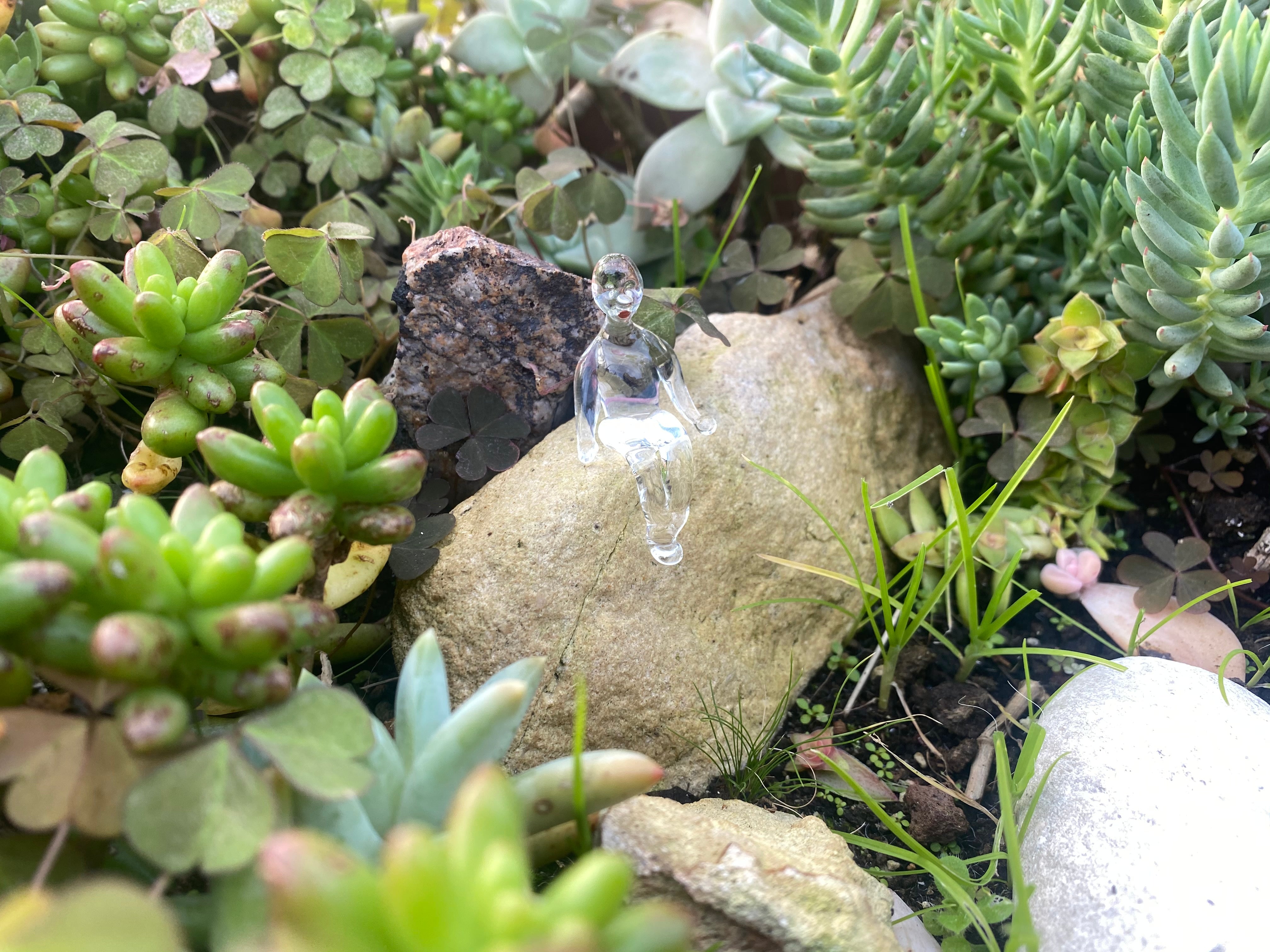 Melancolic Boy Living Near Succulents