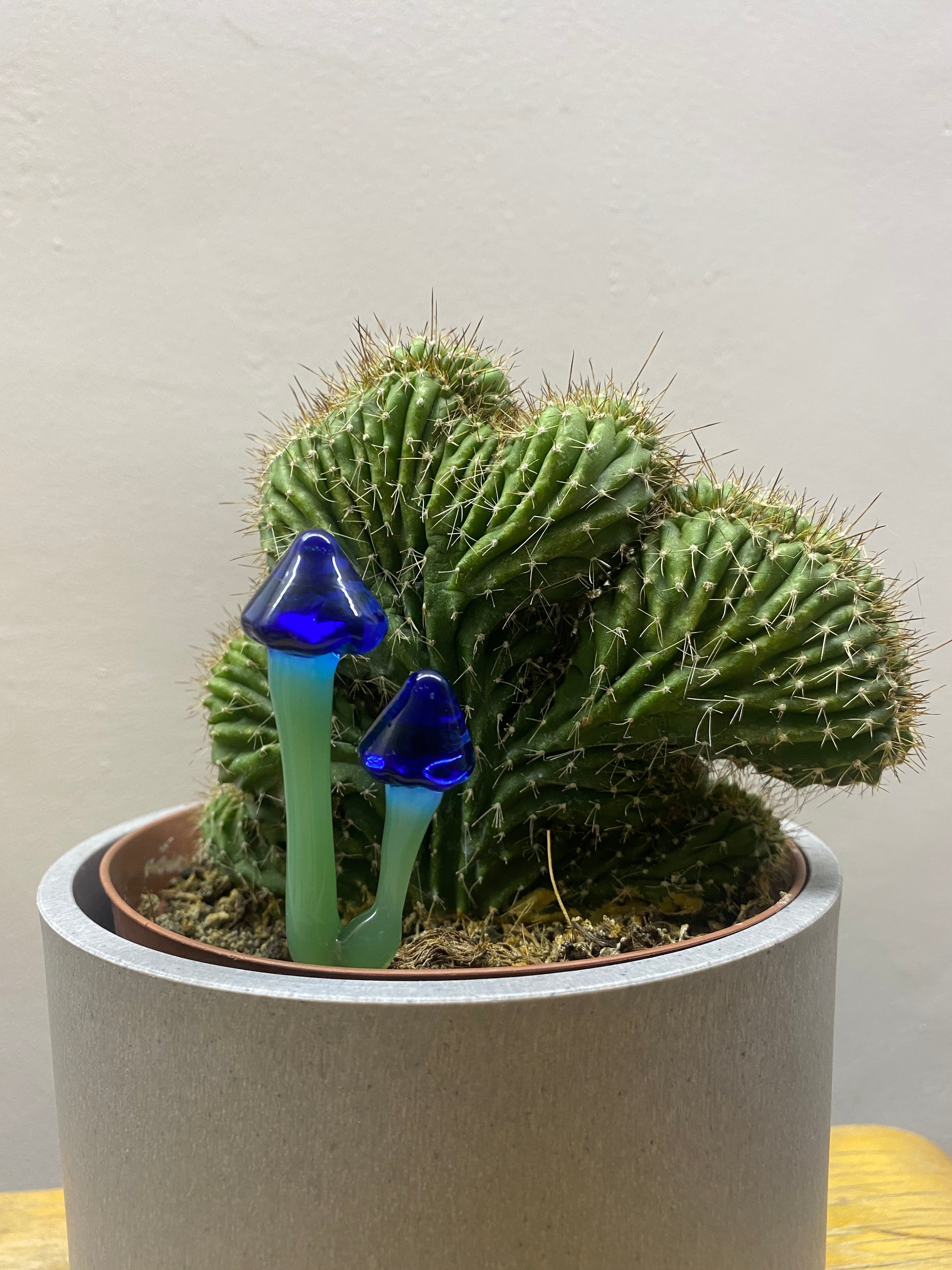 Indigo Mushroom Plant Stake