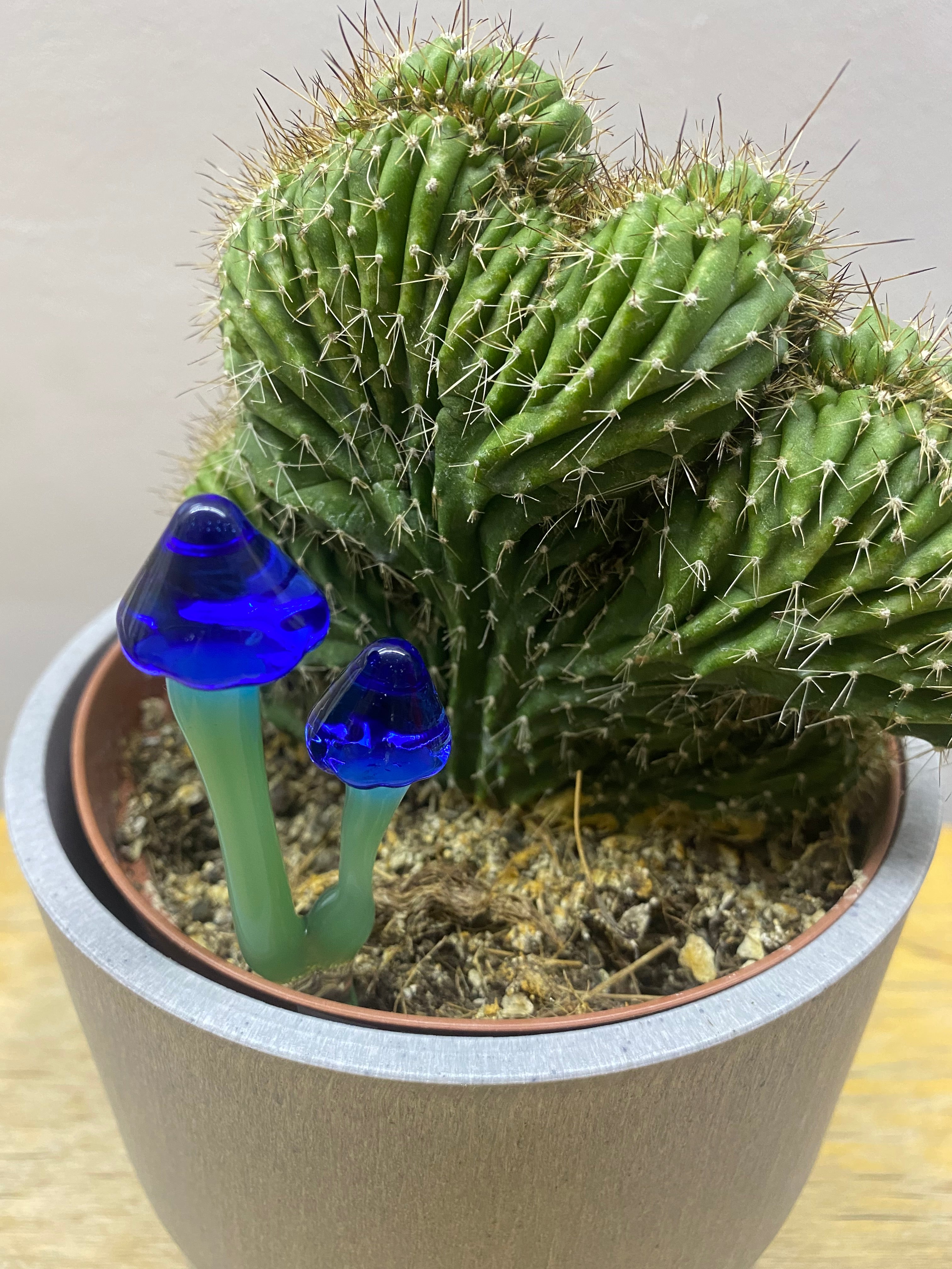 Indigo Mushroom Plant Stake