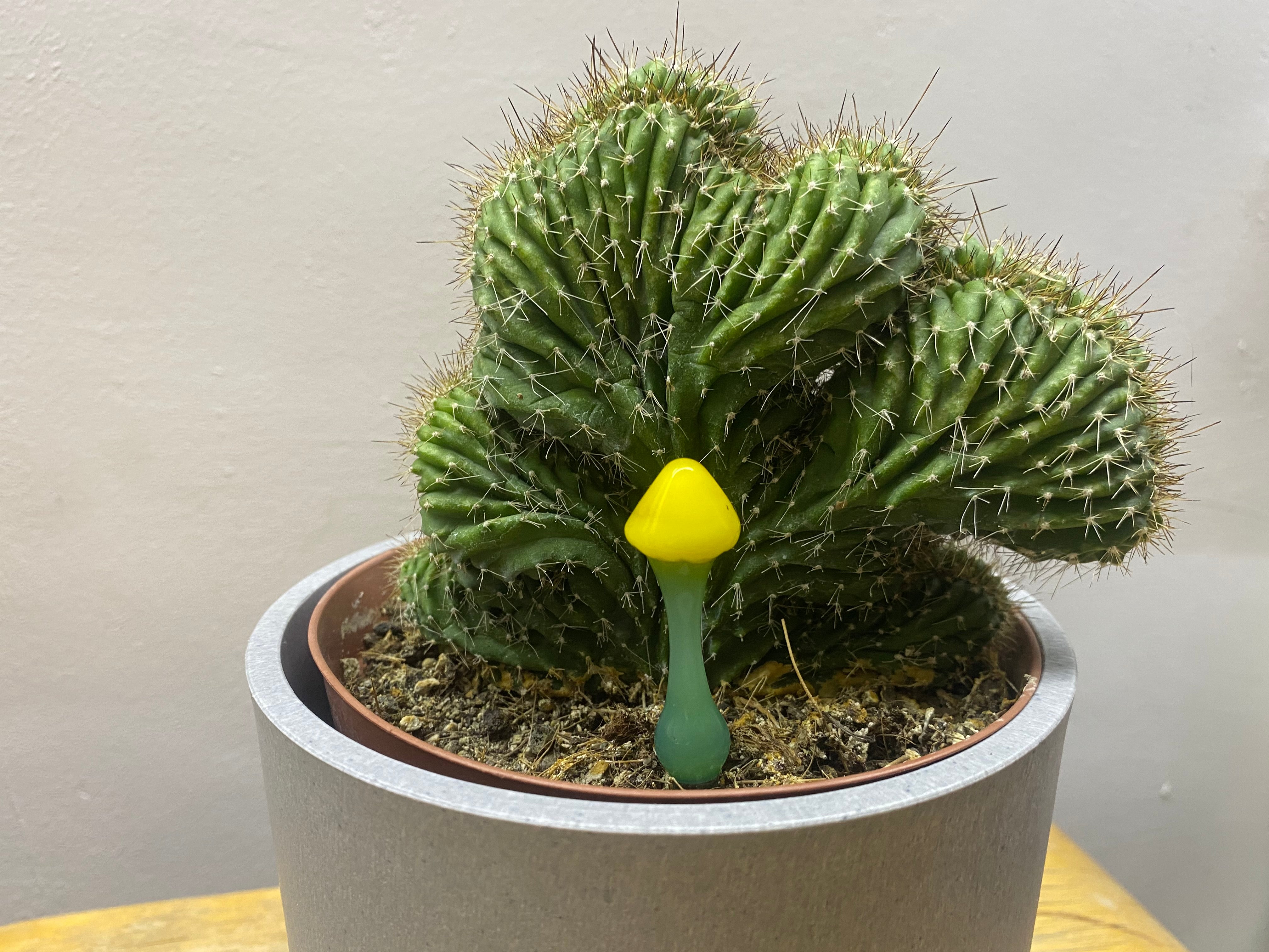 Yellow Mushroom Plant Stake