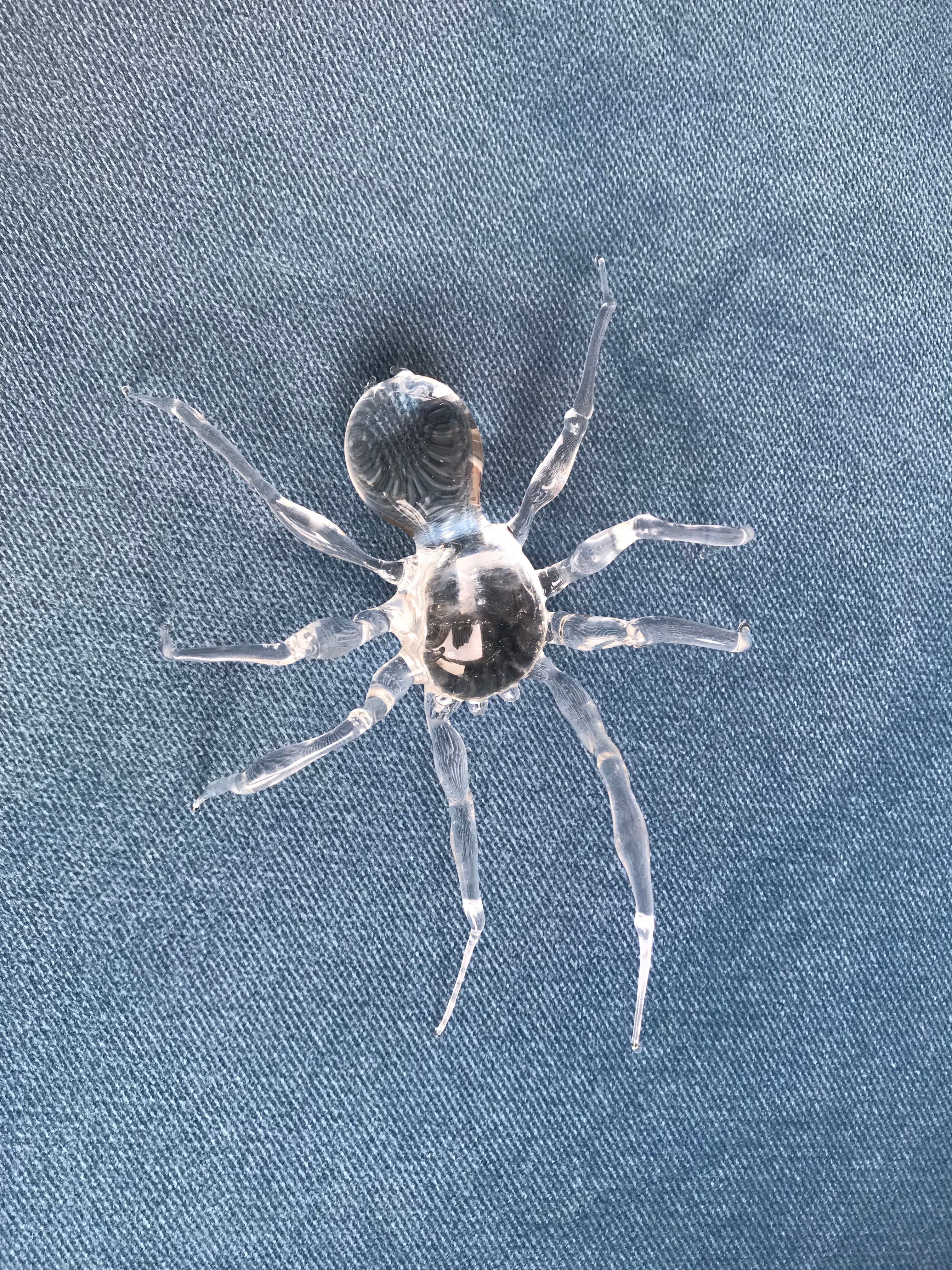Clear Glass Spider Sculpture