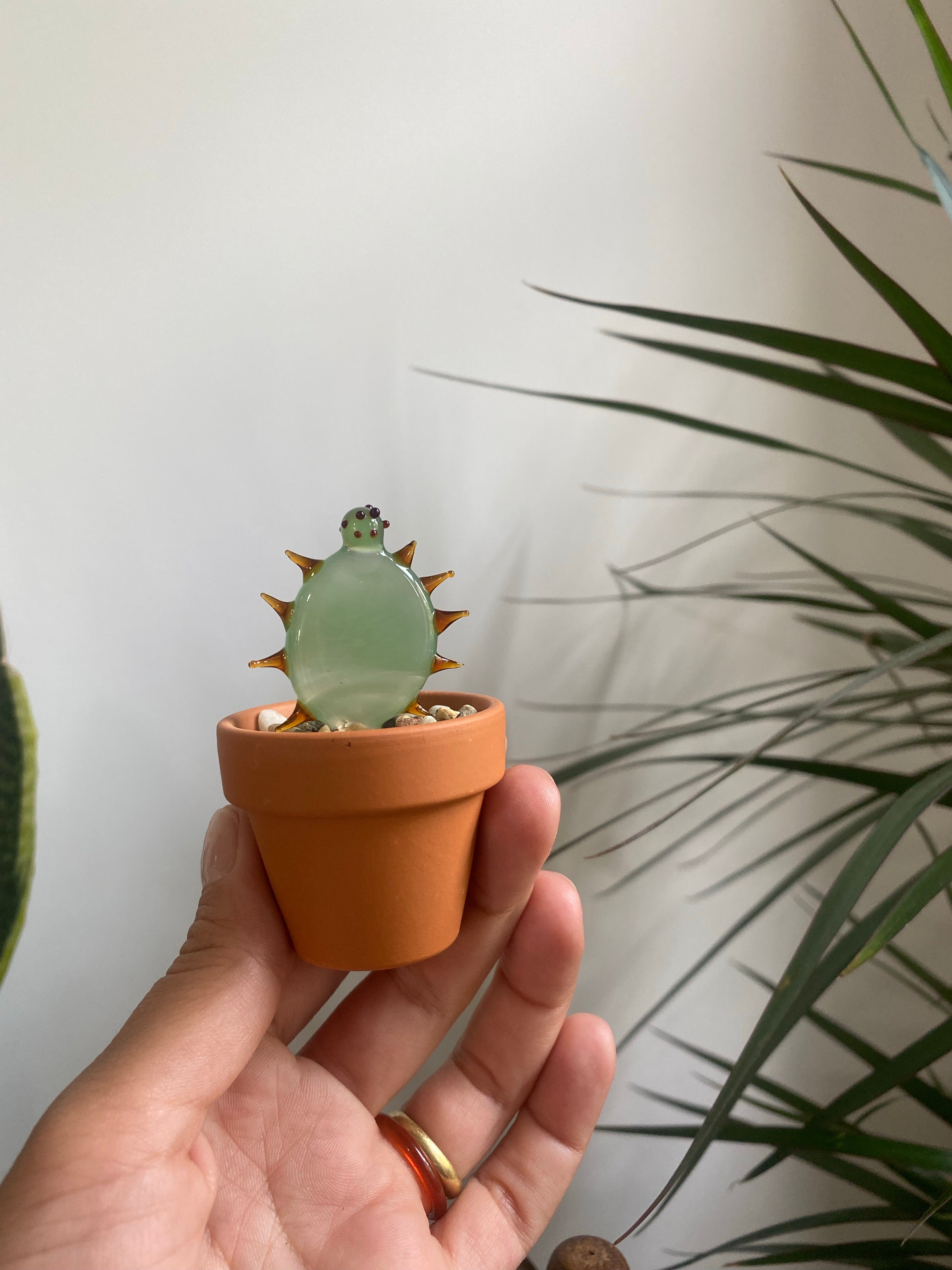 Mini Triple Glass Cactus Set-2