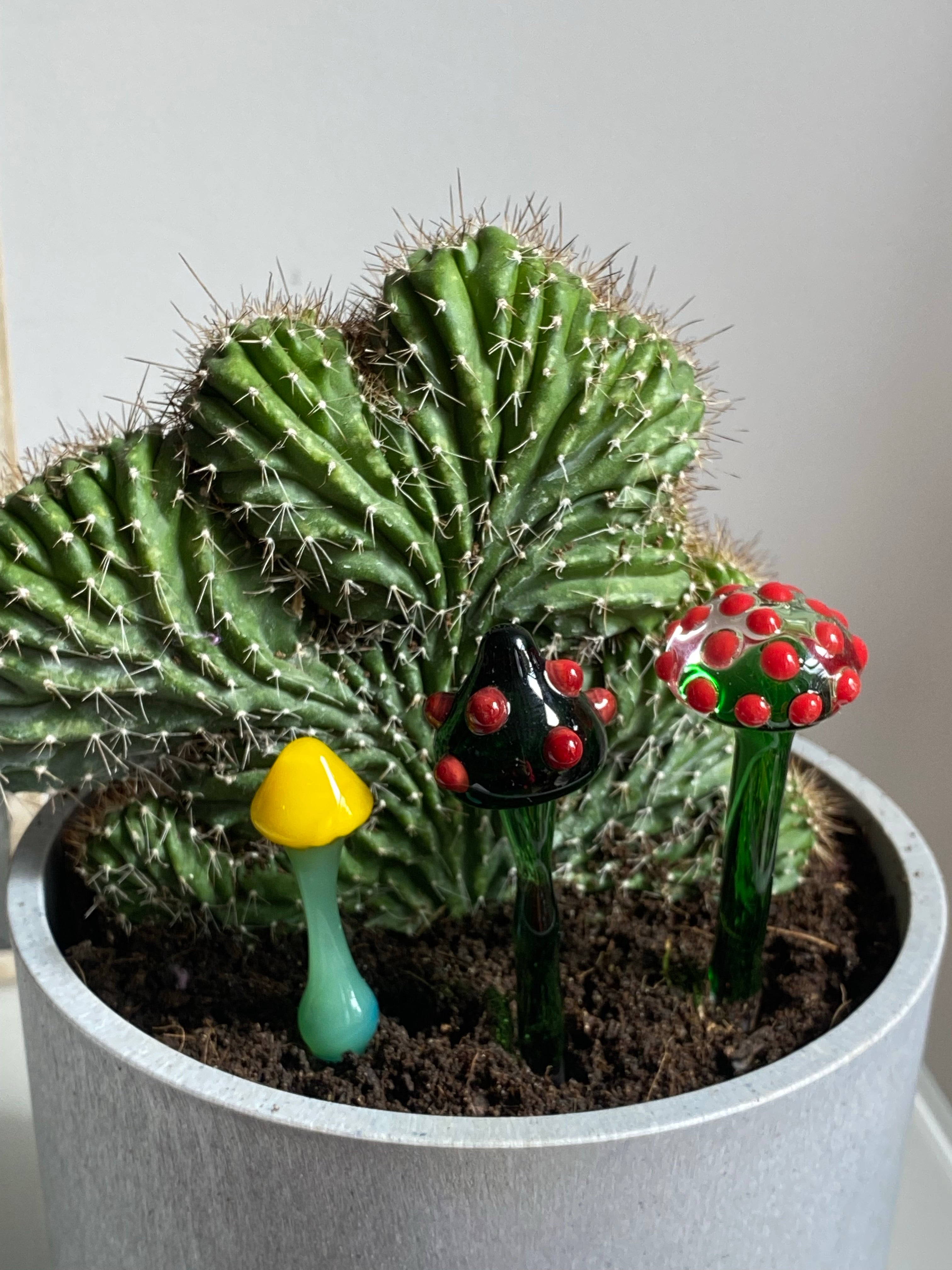 Triple Glass Mushroom Plant Stakes Set-4