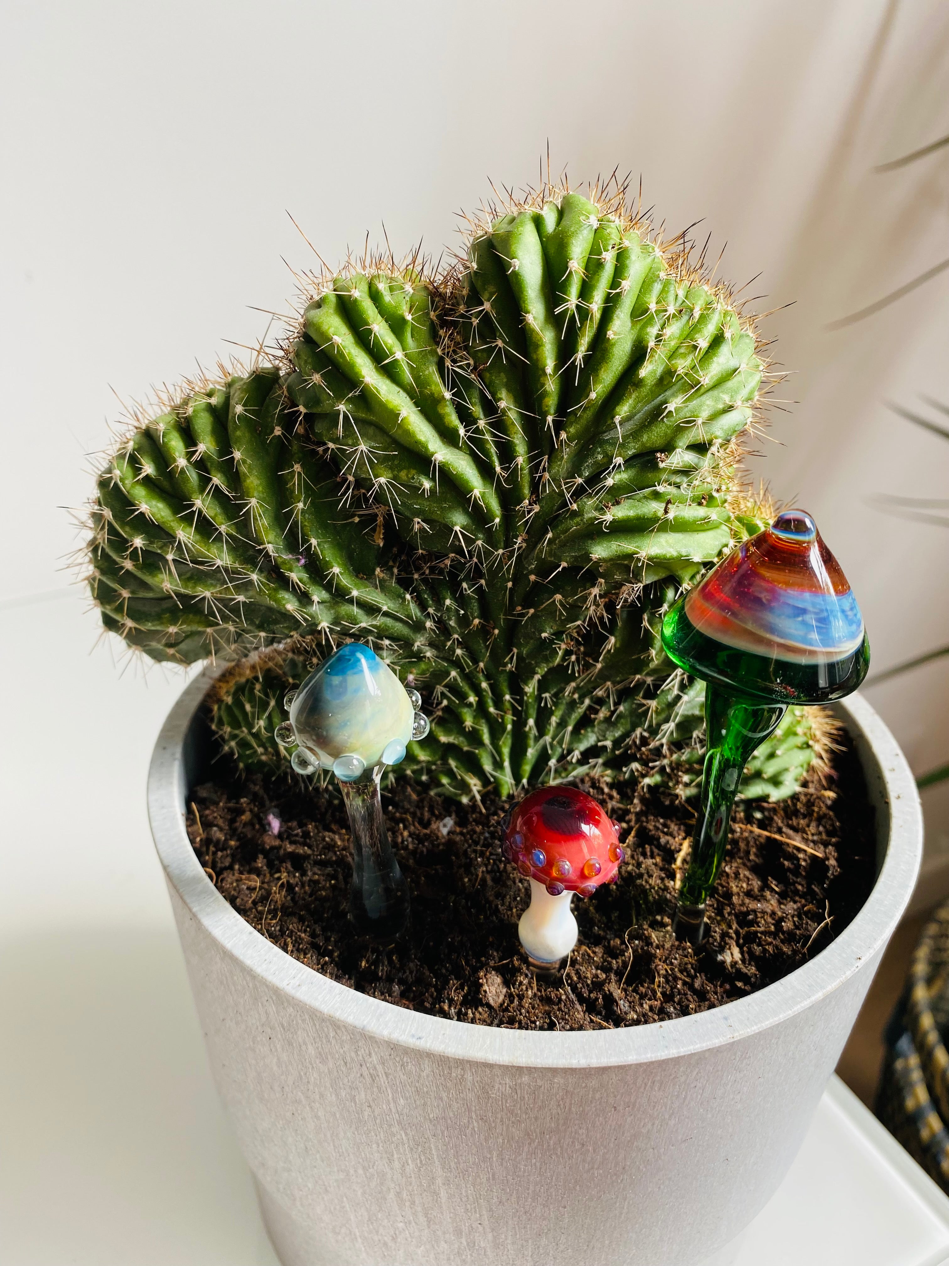 Triple Glass Mushroom Plant Stakes Set-1