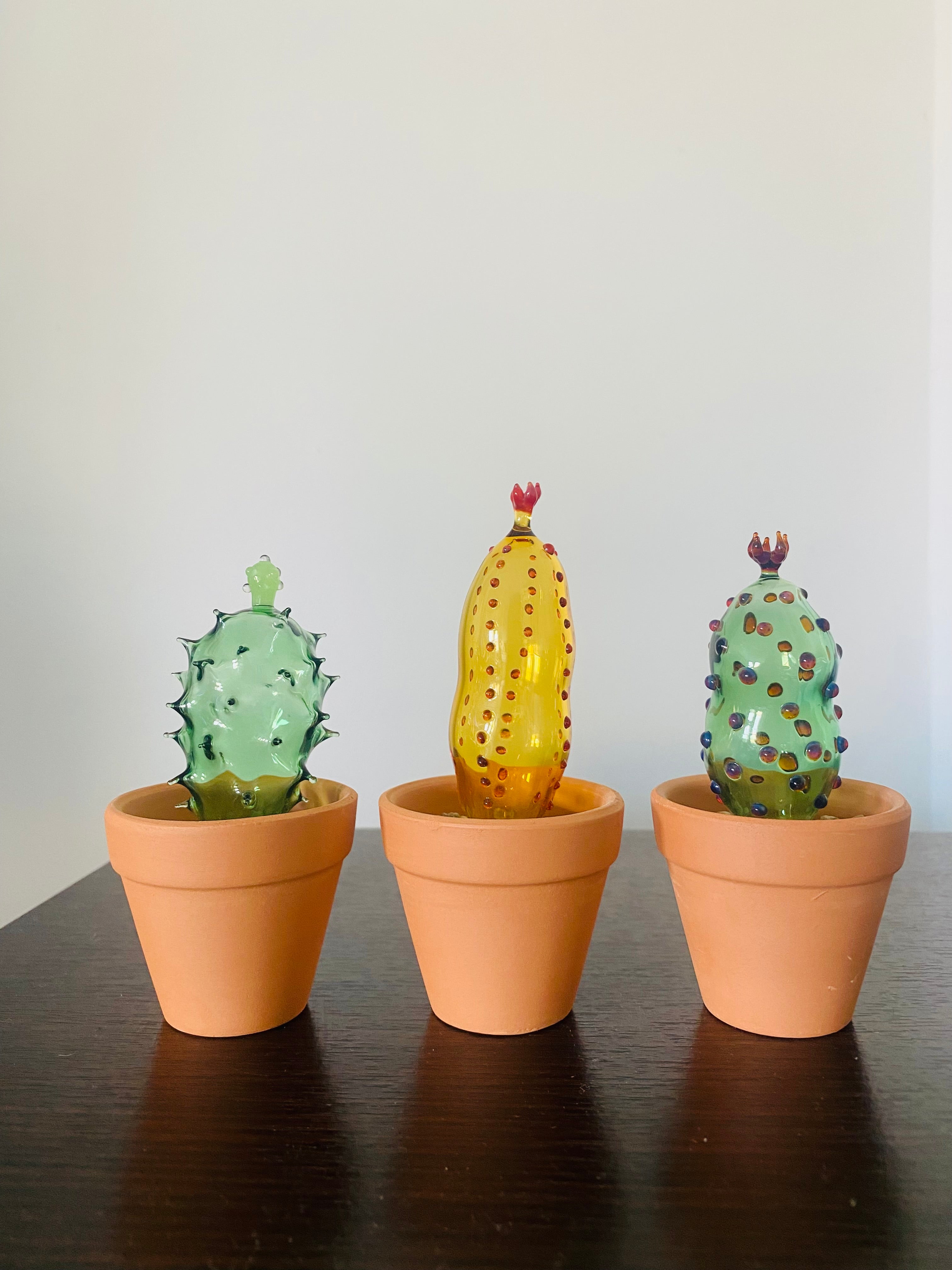 Mini Triple Glass Cactus Set-5