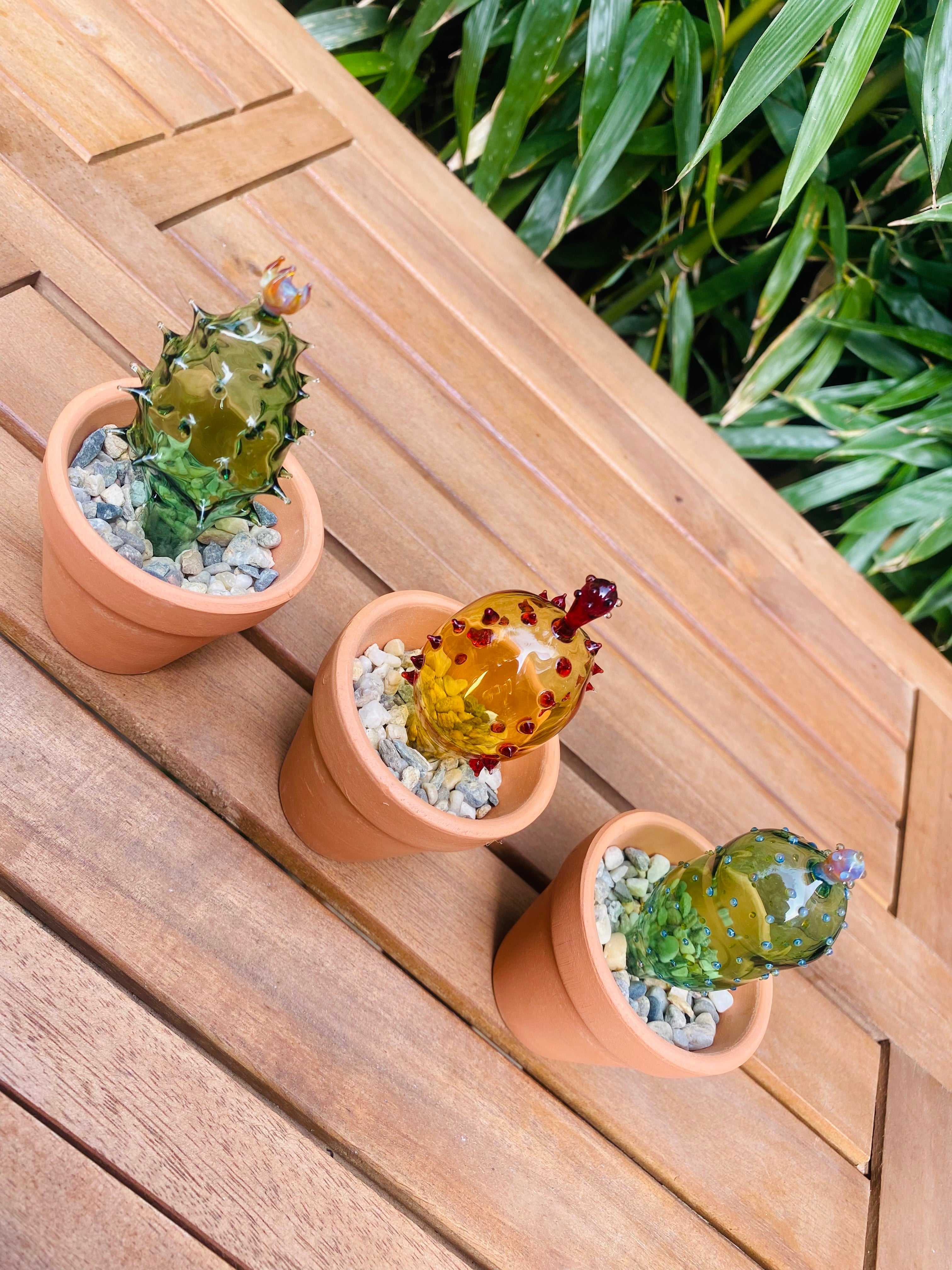 Mini Triple Glass Cactus Plant Set-4
