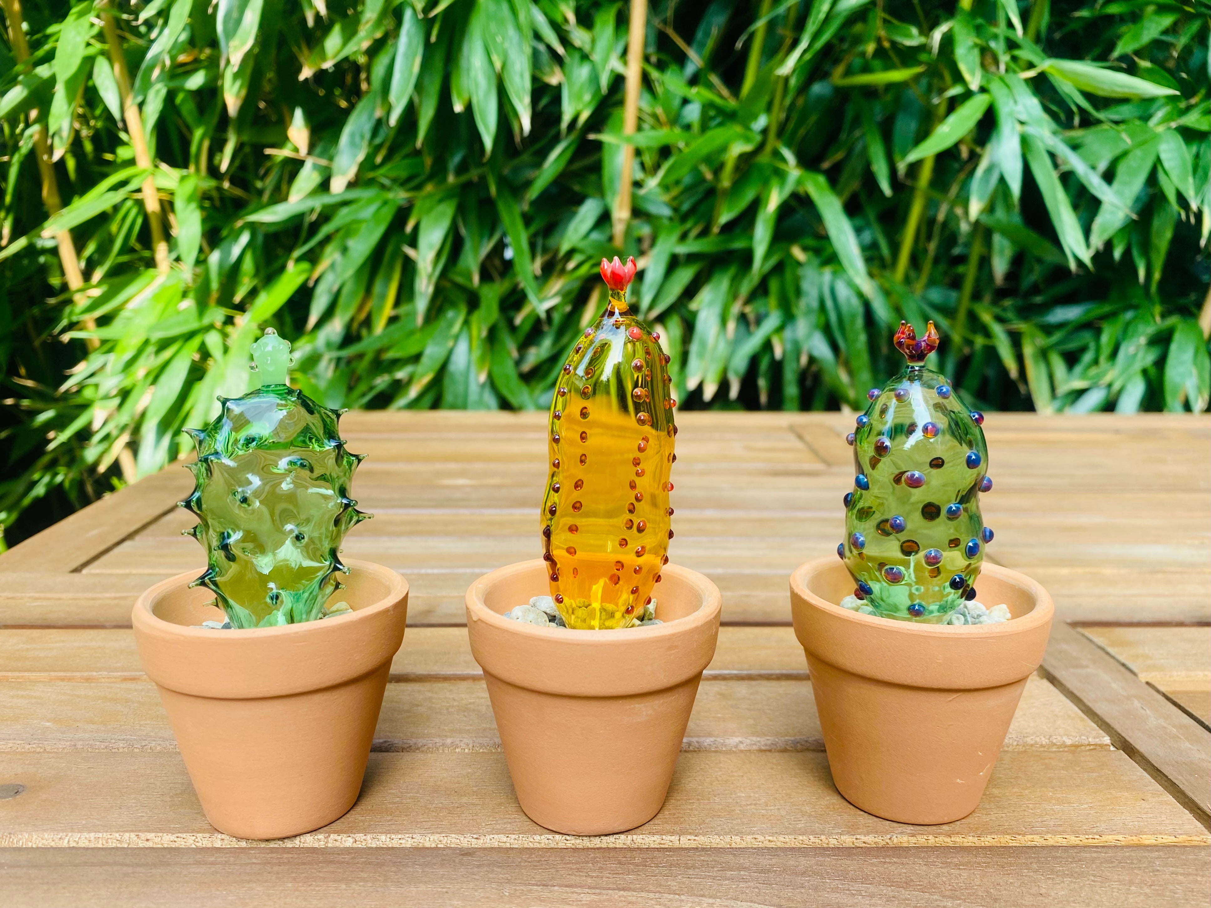 Mini Triple Glass Cactus Set-5