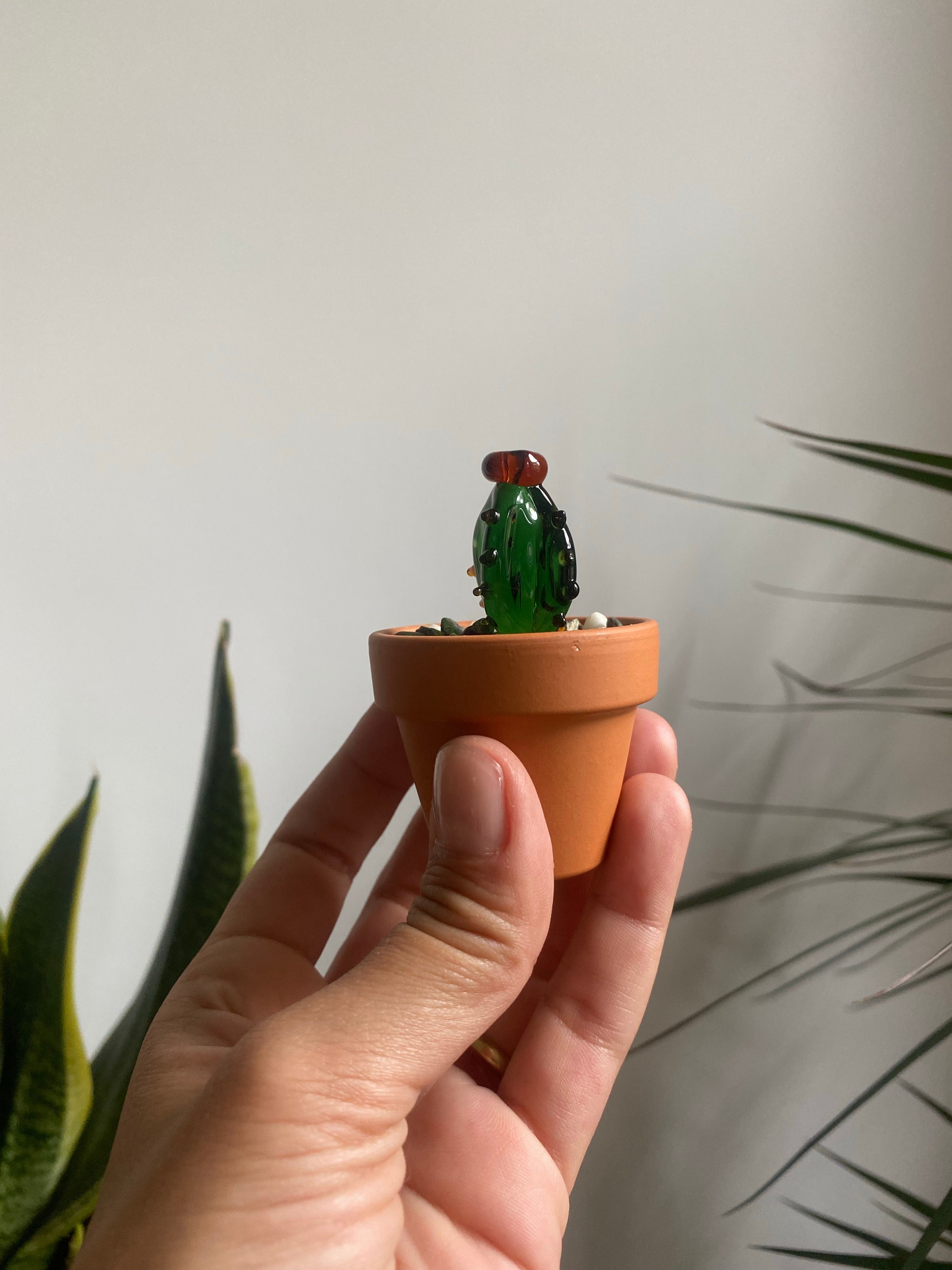 Mini Triple Glass Cactus Set-1