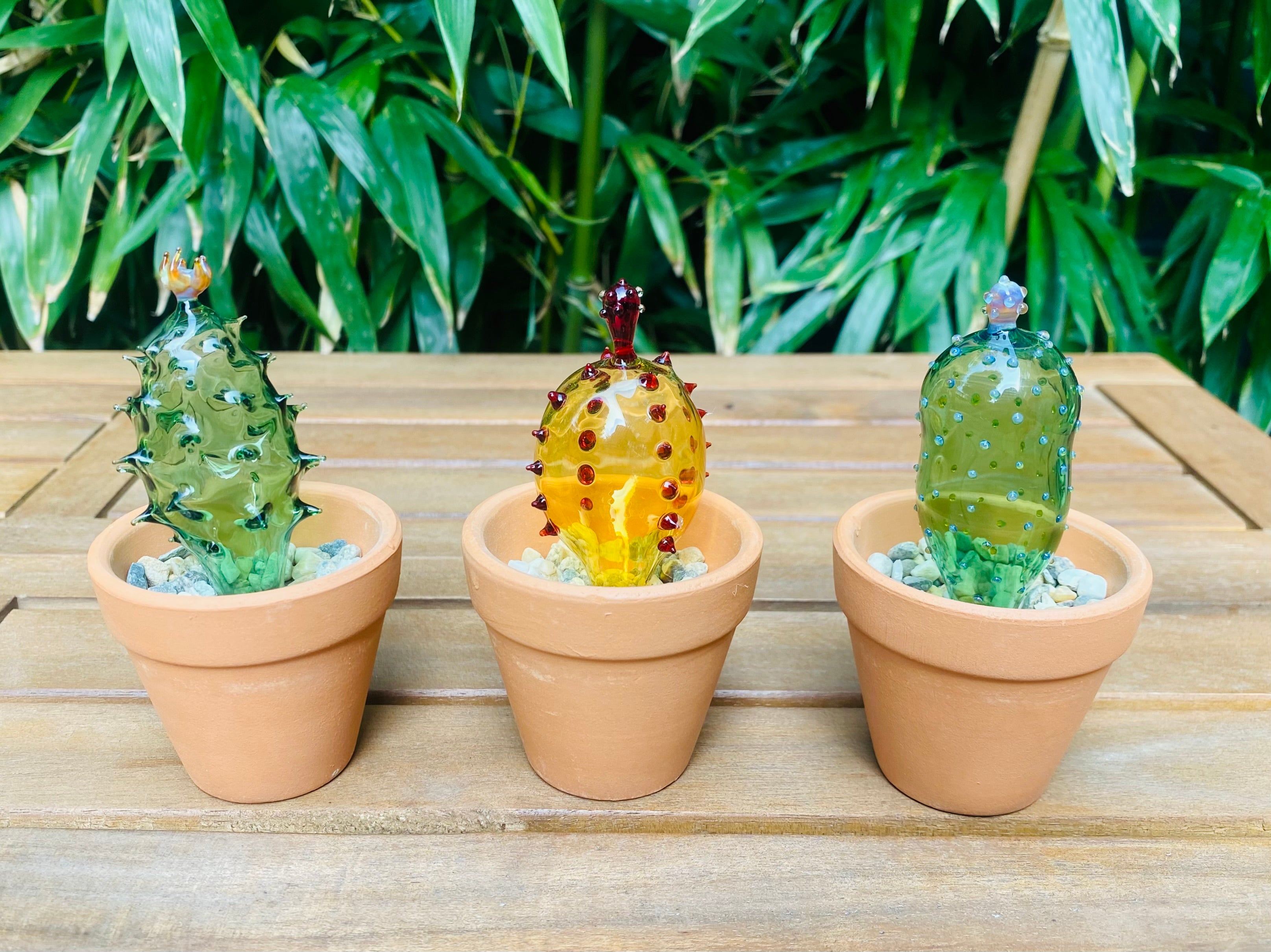 Mini Triple Glass Cactus Plant Set-4