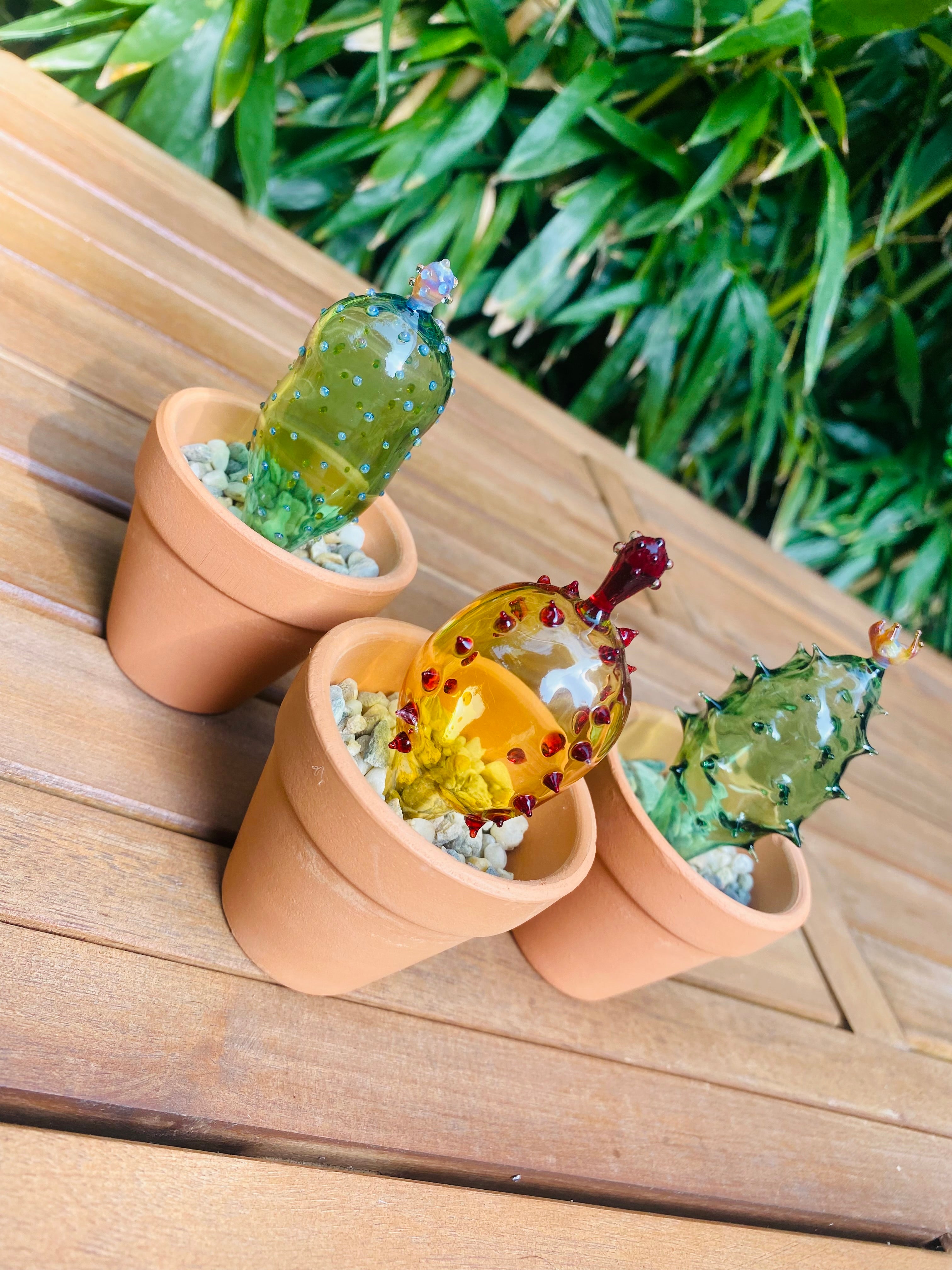 Mini Triple Glass Cactus Plant Set-4