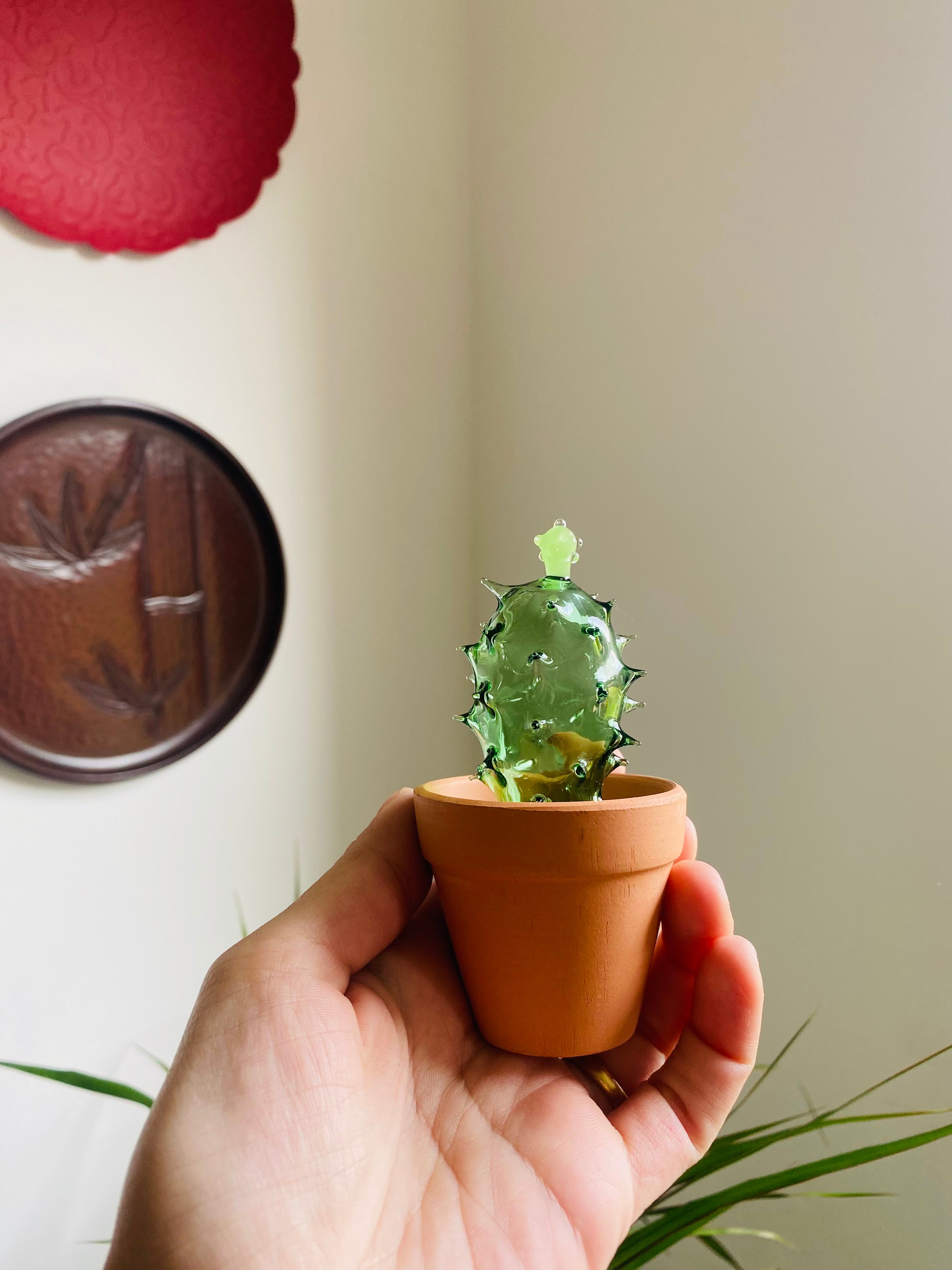 Mini Triple Glass Cactus Set-5