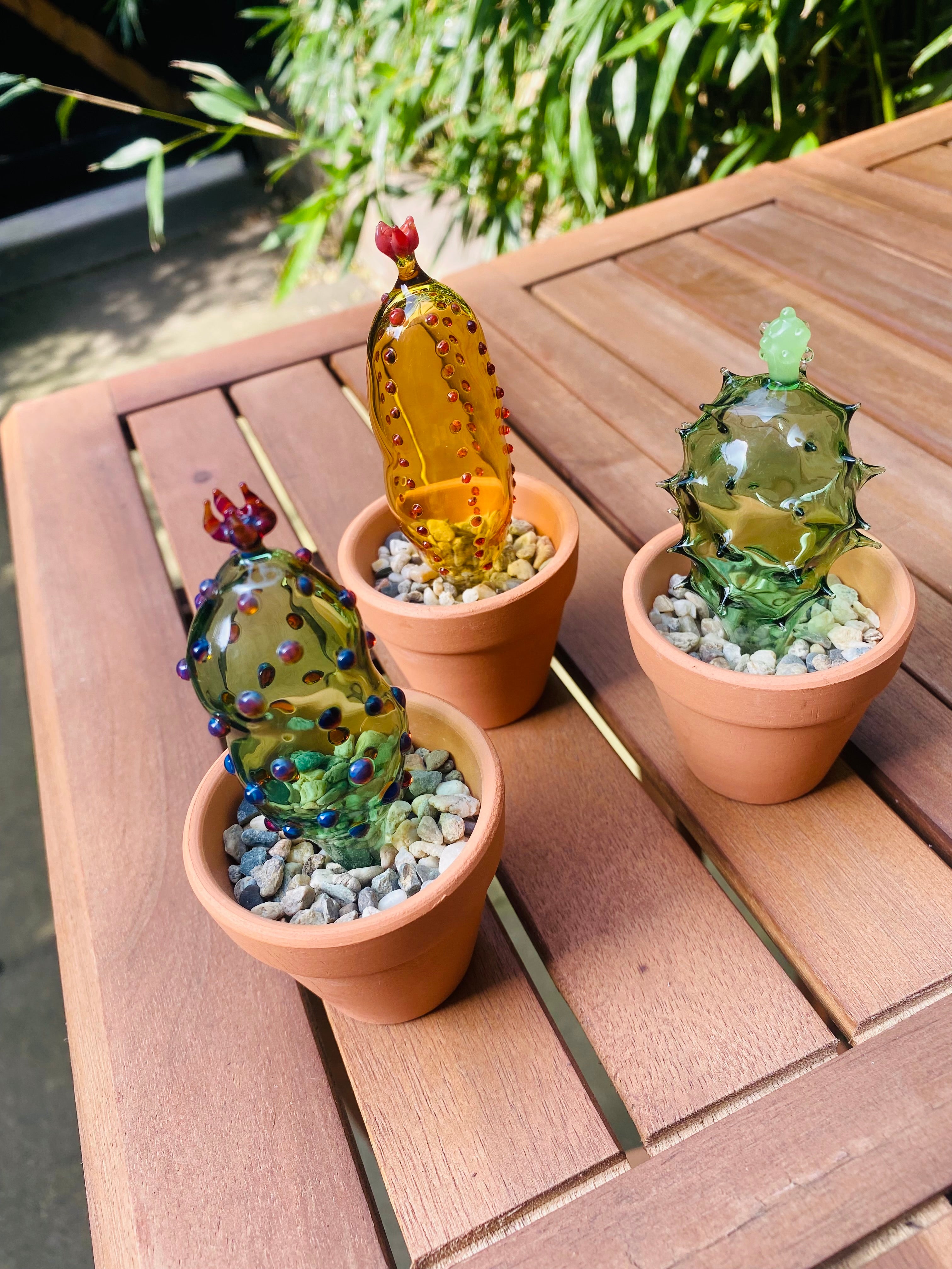 Mini Triple Glass Cactus Set-5