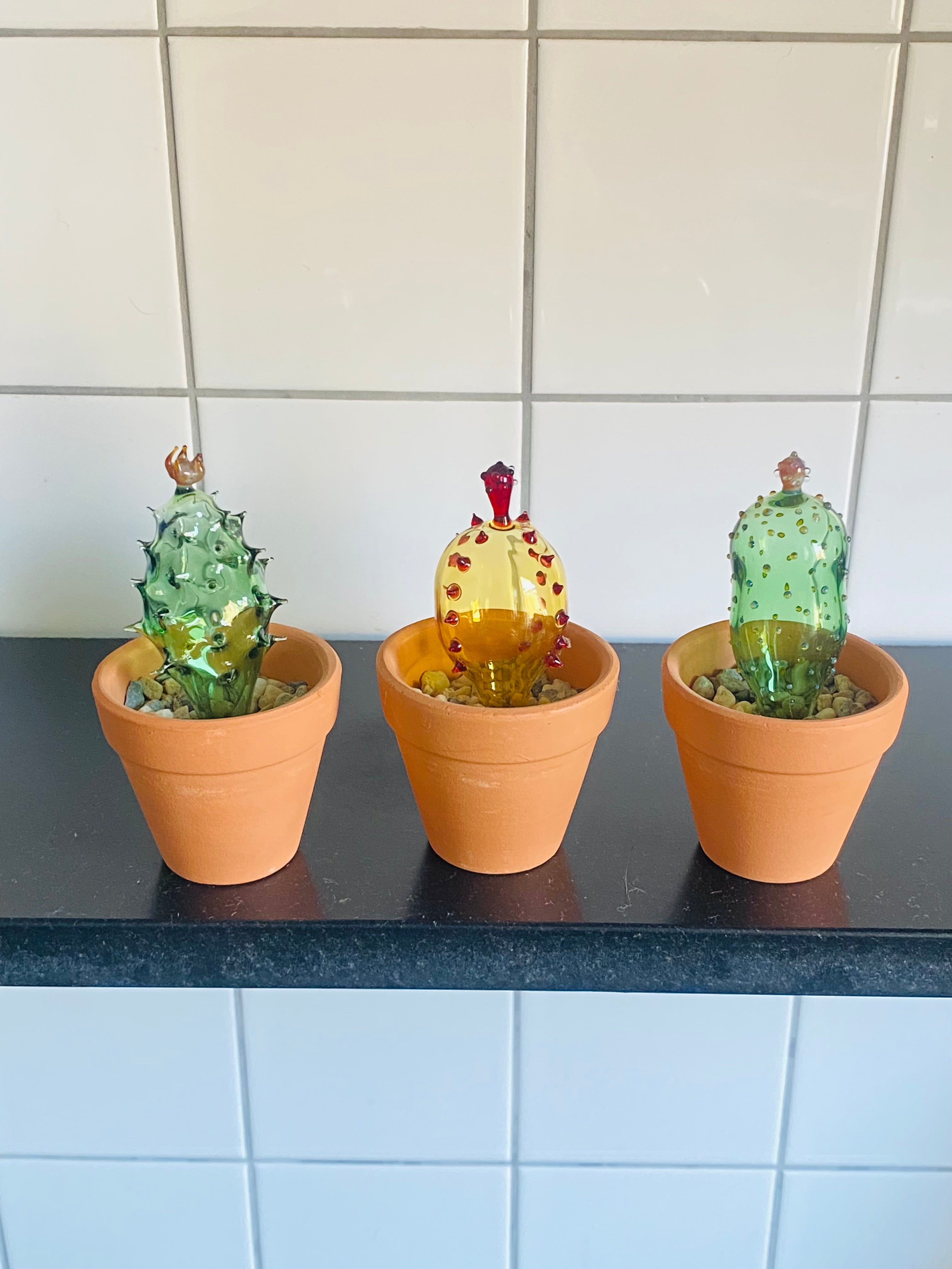 Mini Triple Glass Cactus Plant Set-4