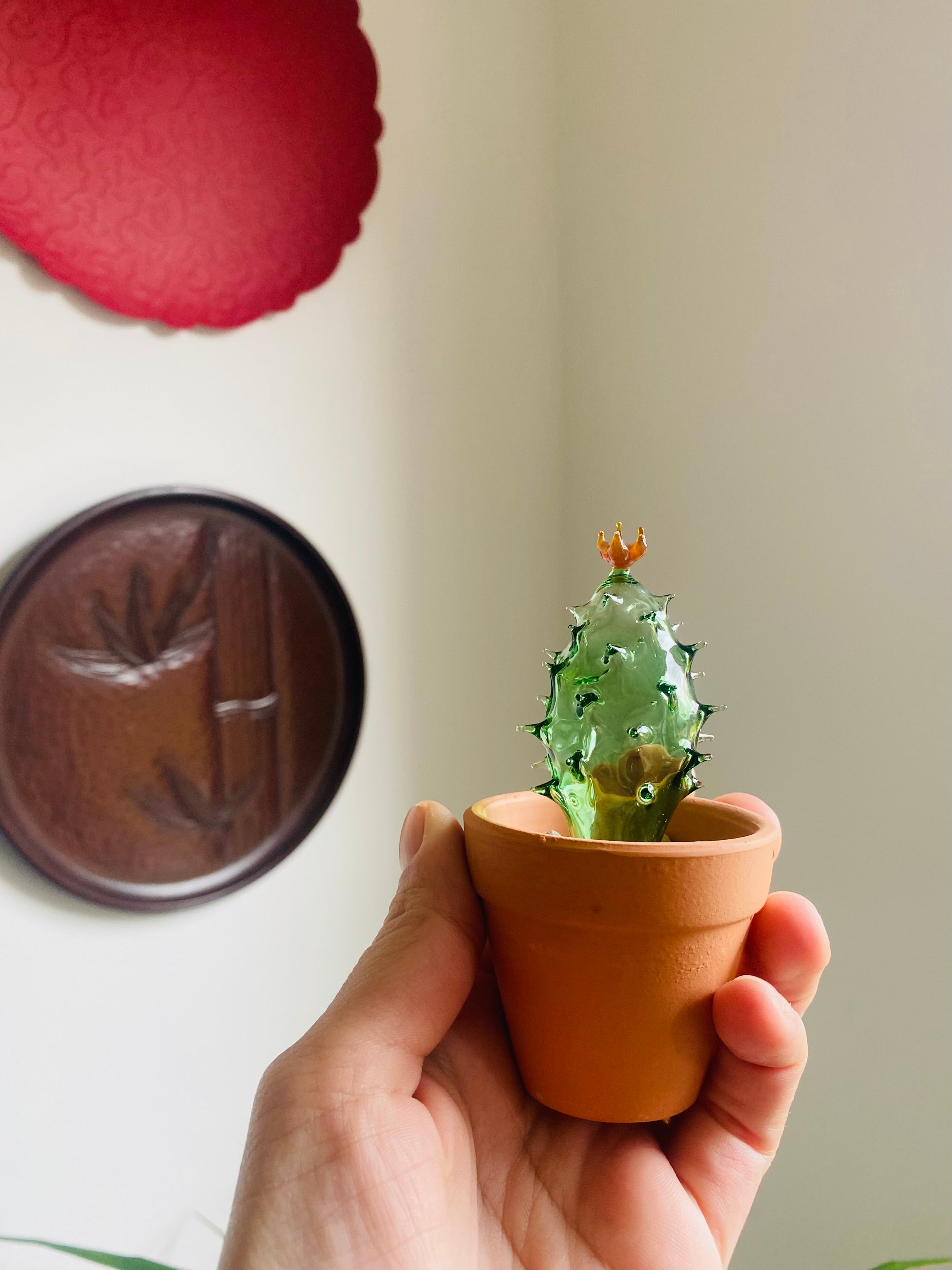 Mini Triple Glass Cactus Plant Set-4