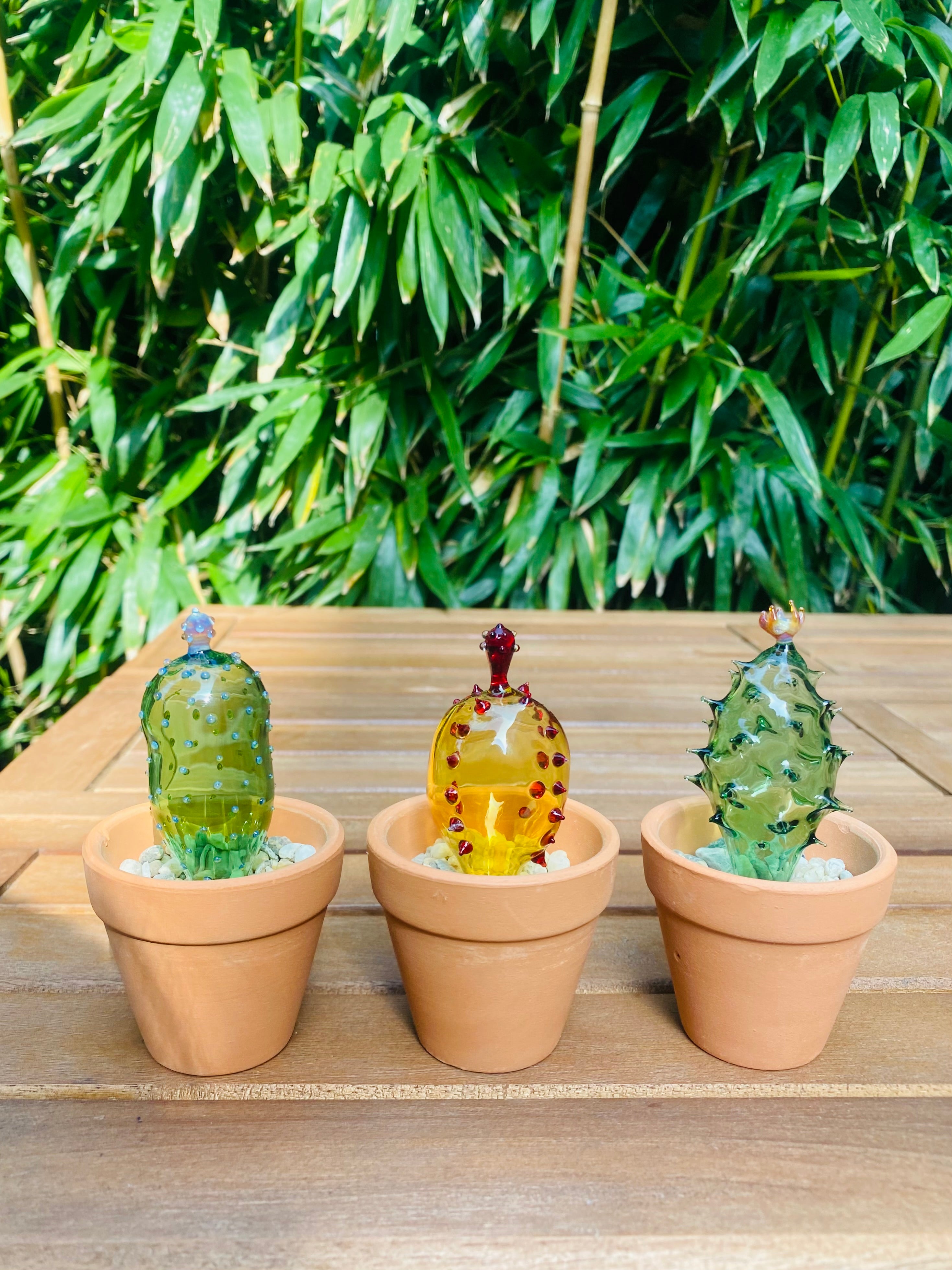 Mini Triple Glass Cactus Plant Set-4
