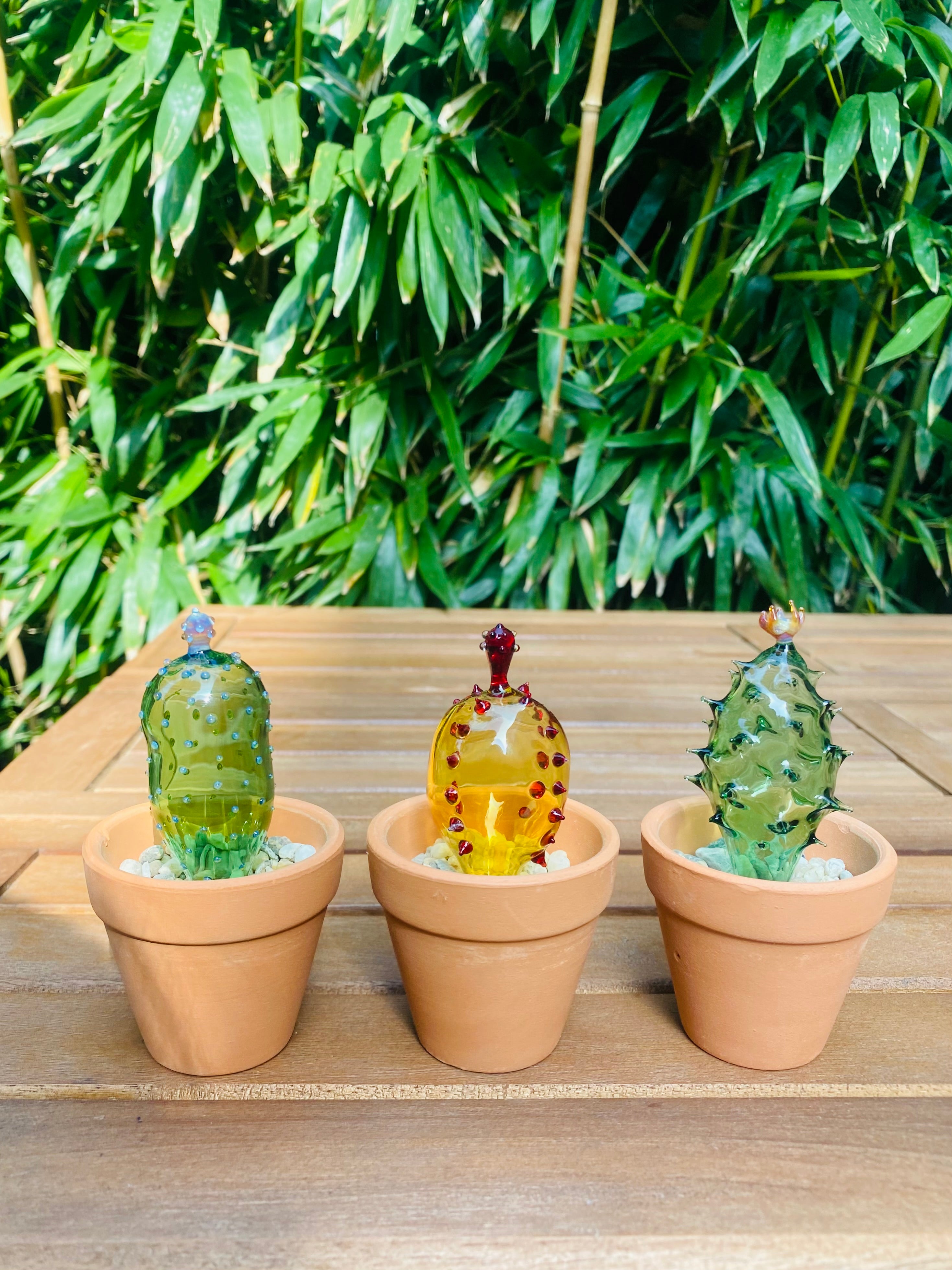 Mini Triple Glass Cactus Set-4