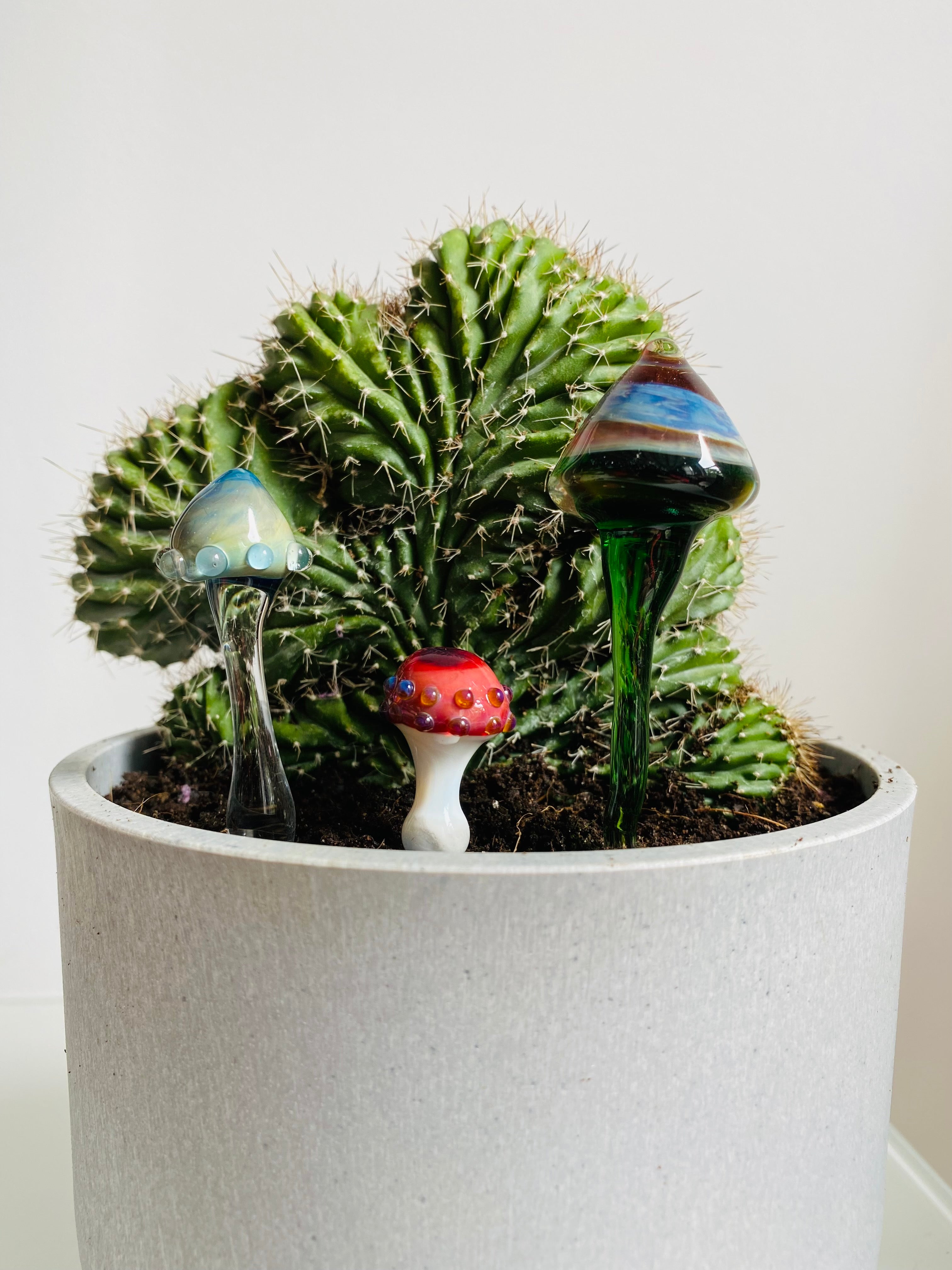 Triple Glass Mushroom Plant Stakes Set-1