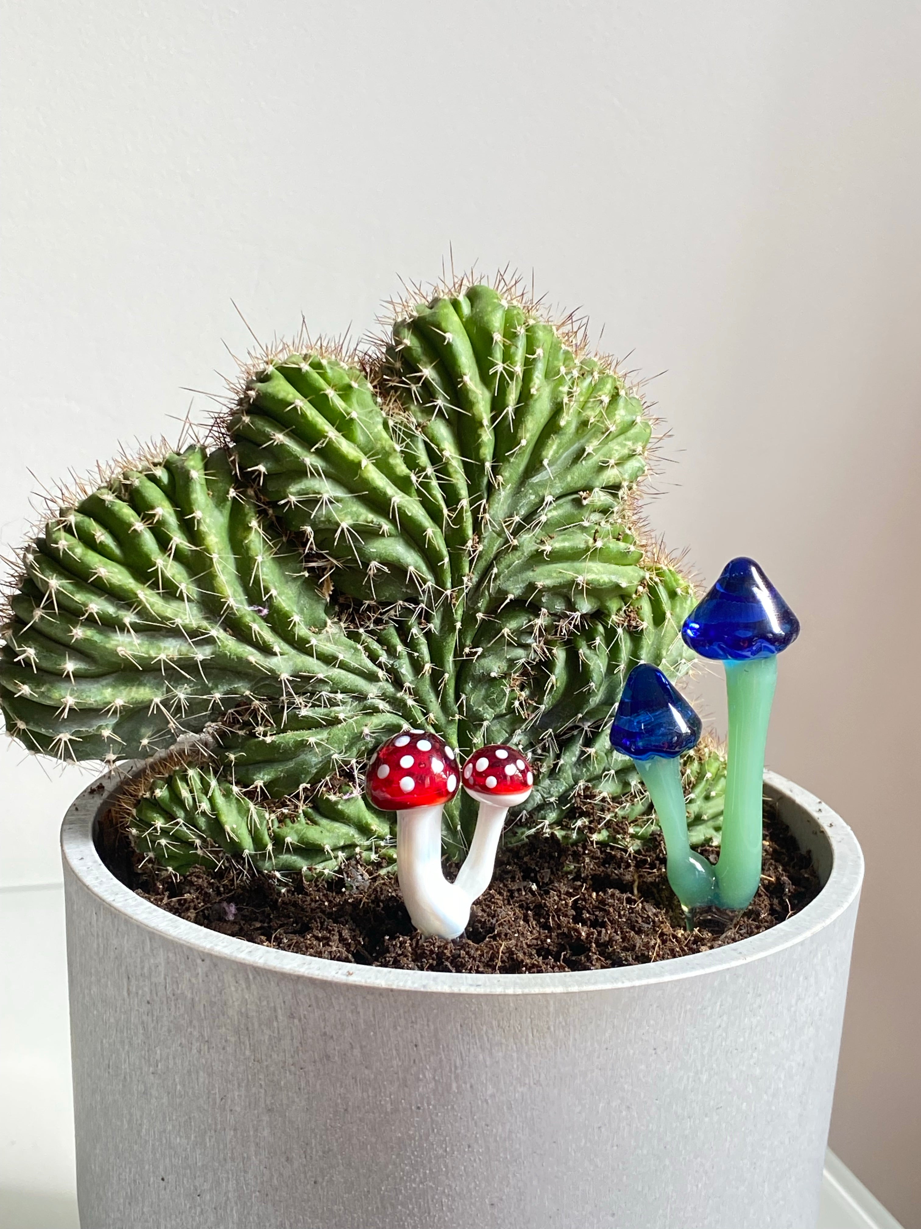 Triple Glass Mushroom Plant Stakes Set-5