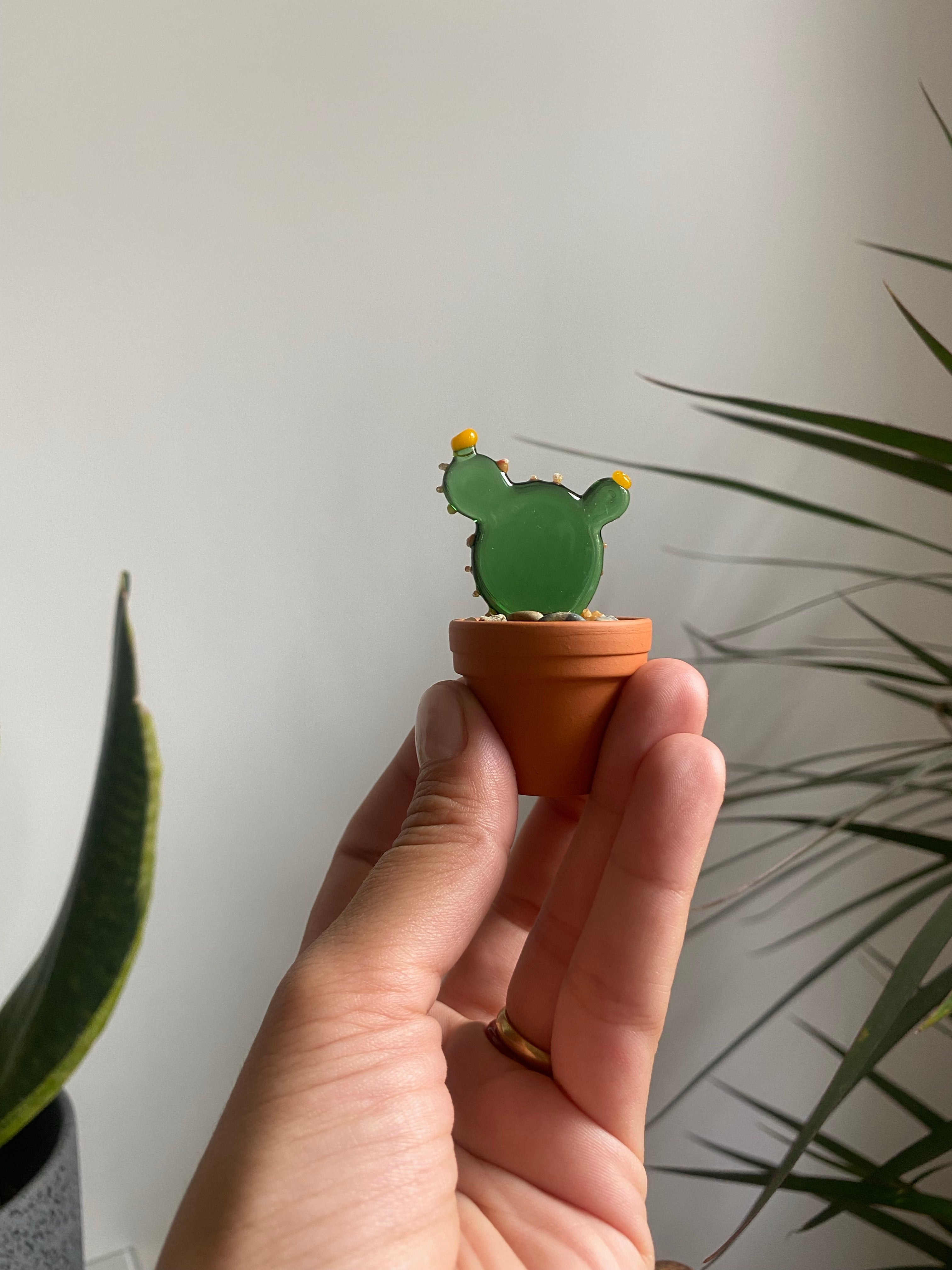 Mini Triple Glass Cactus Set-1