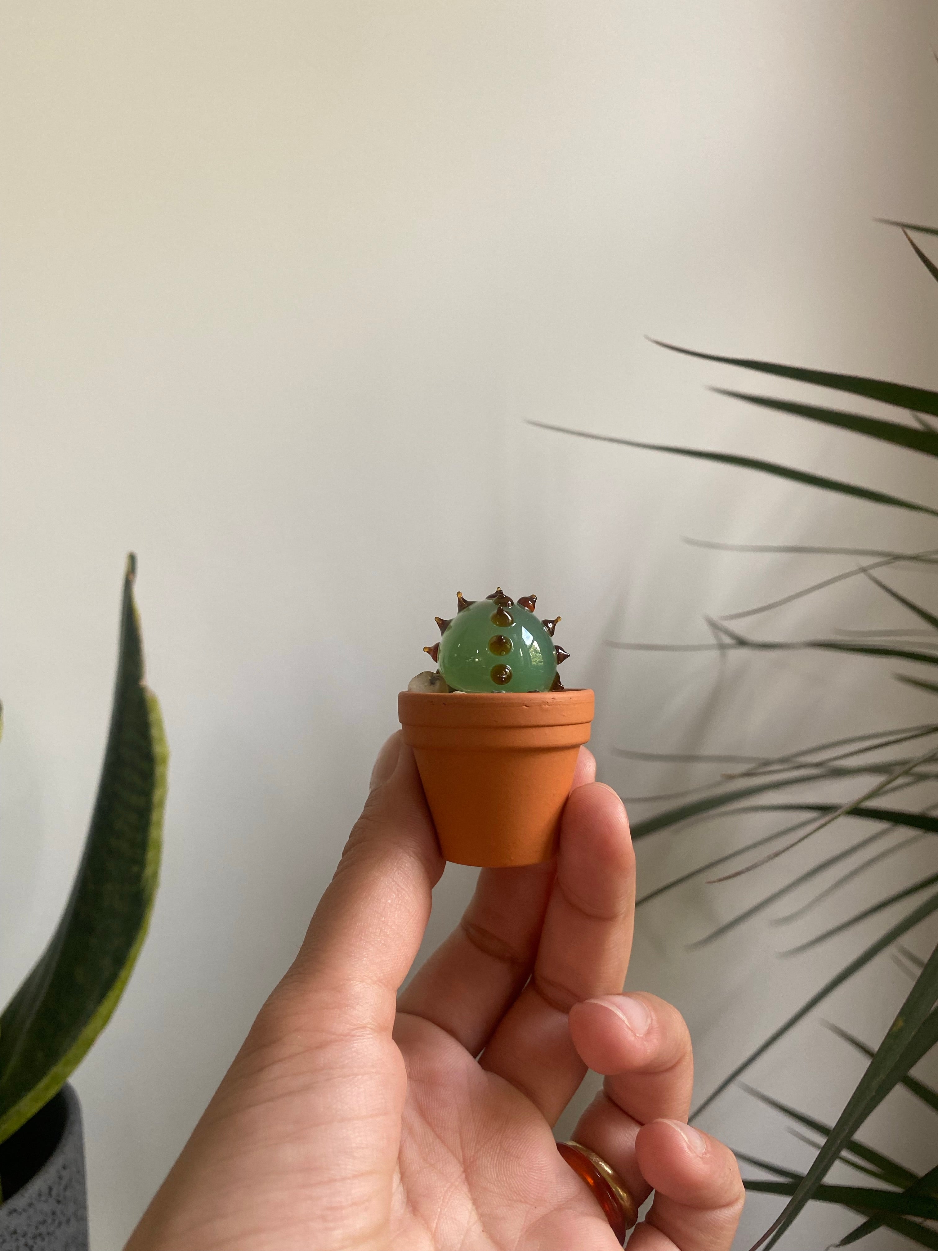 Mini Triple Glass Cactus Set-3