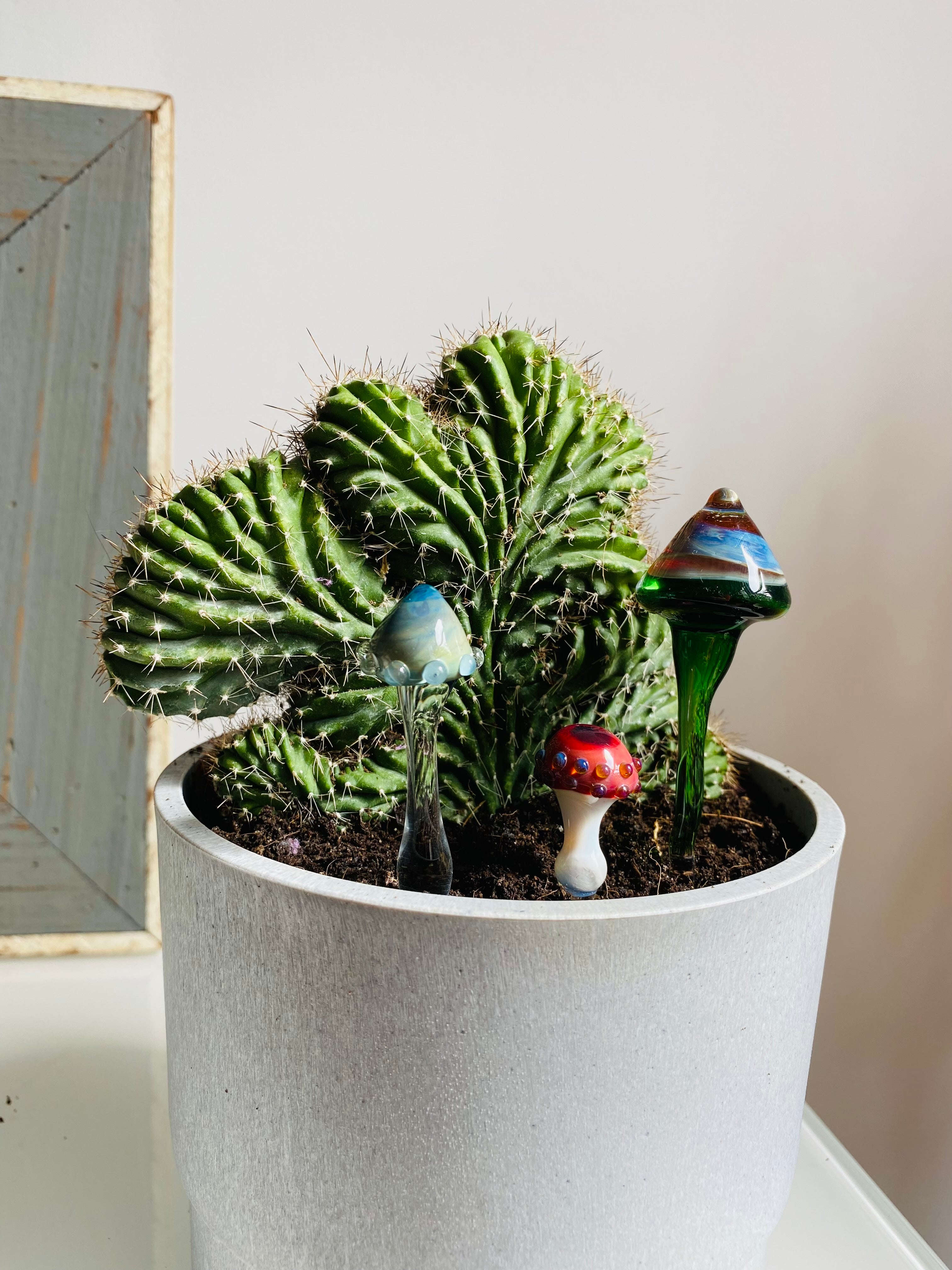 Triple Glass Mushroom Plant Stakes Set-1