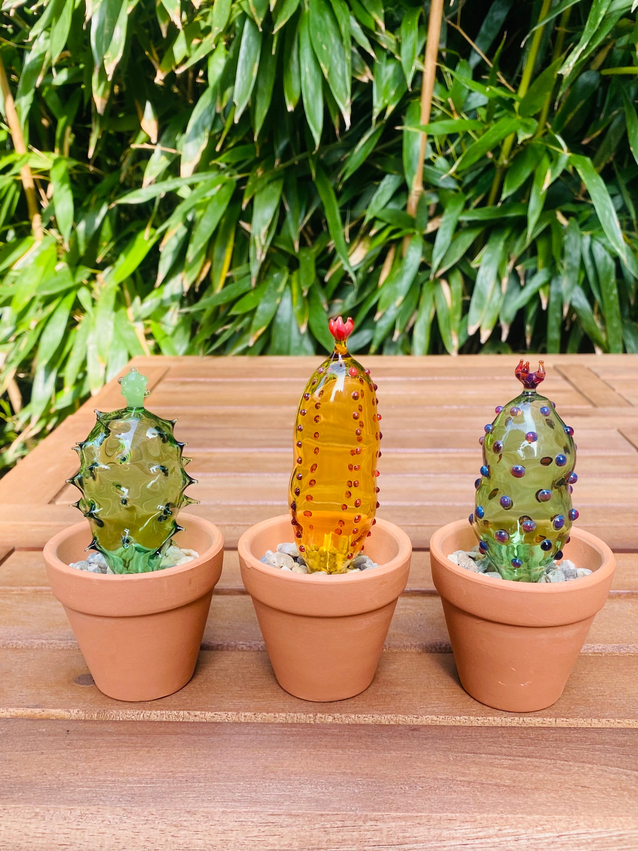 Mini Triple Glass Cactus Set-5