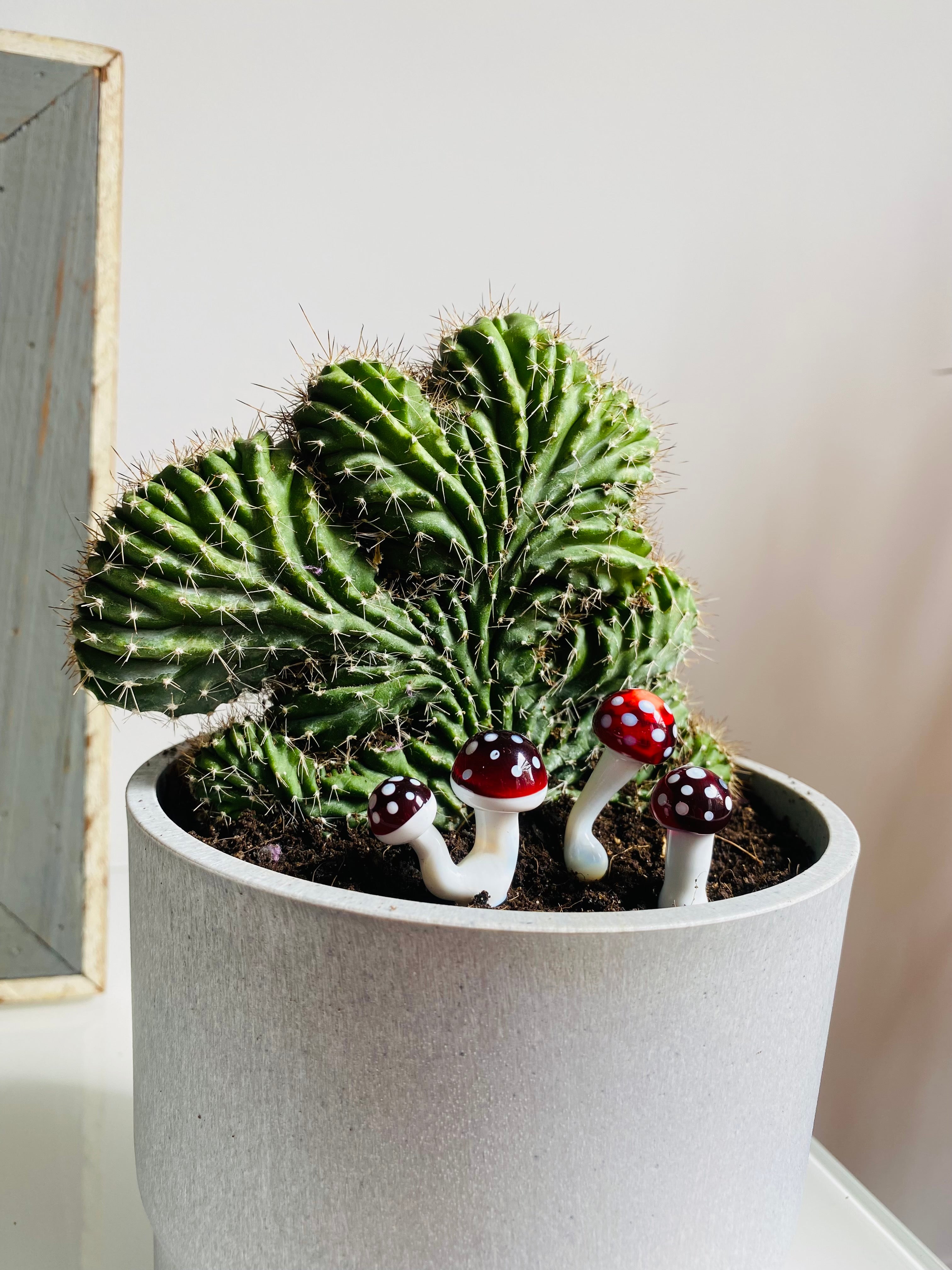 Triple Glass Mushroom Plant Stakes Set-6