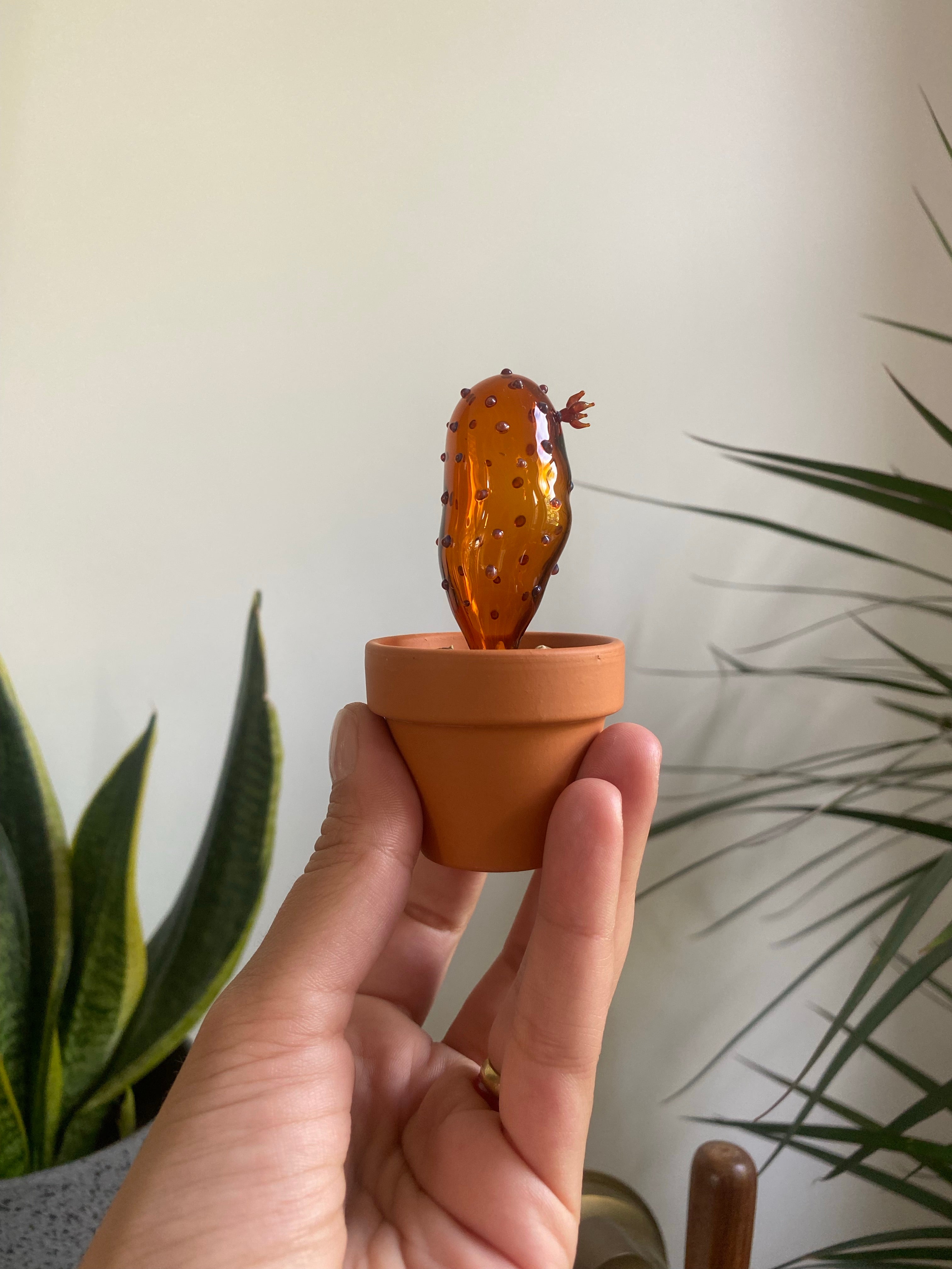 Mini Triple Glass Cactus Set-3