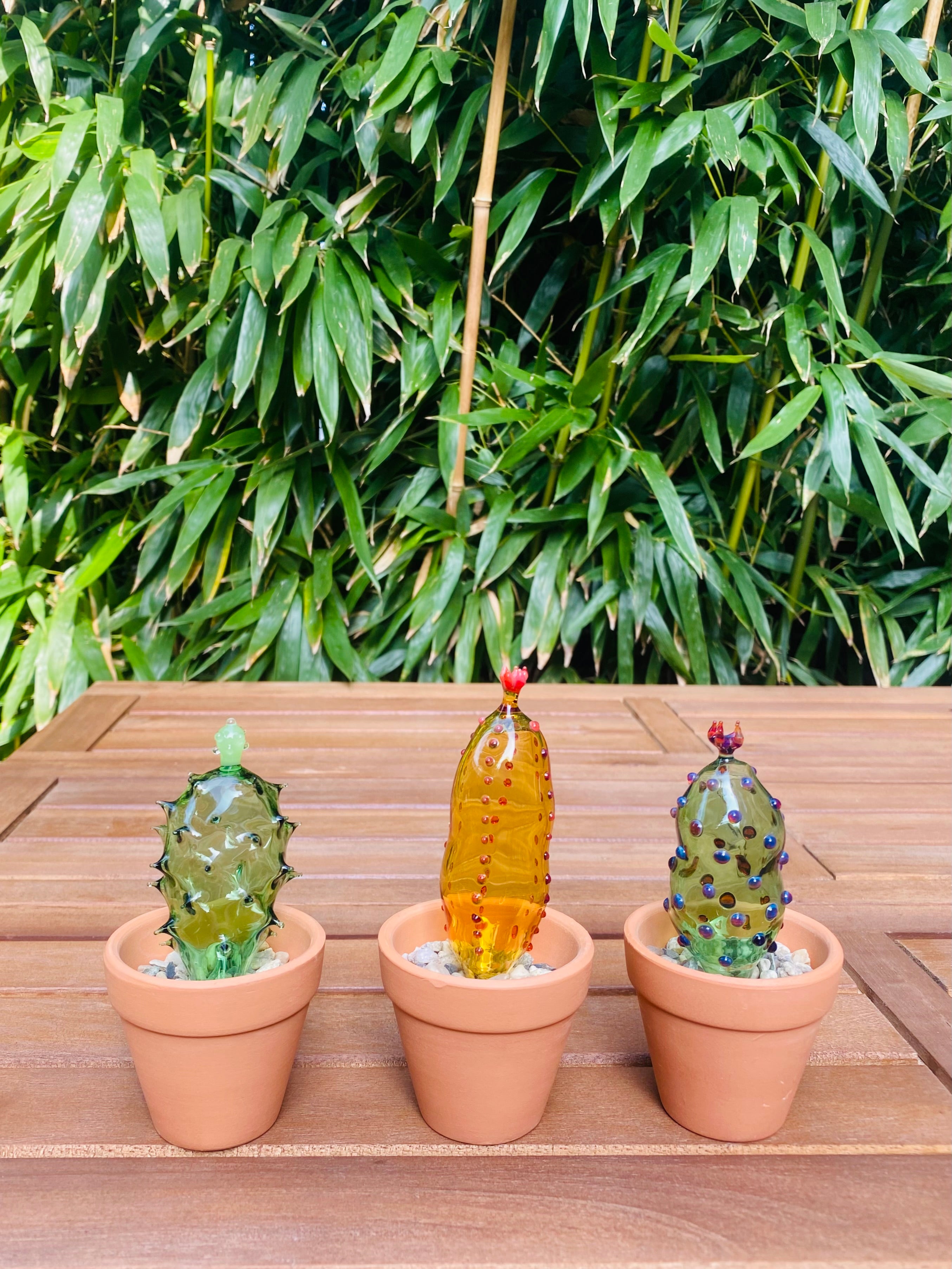 Mini Triple Glass Cactus Set-5