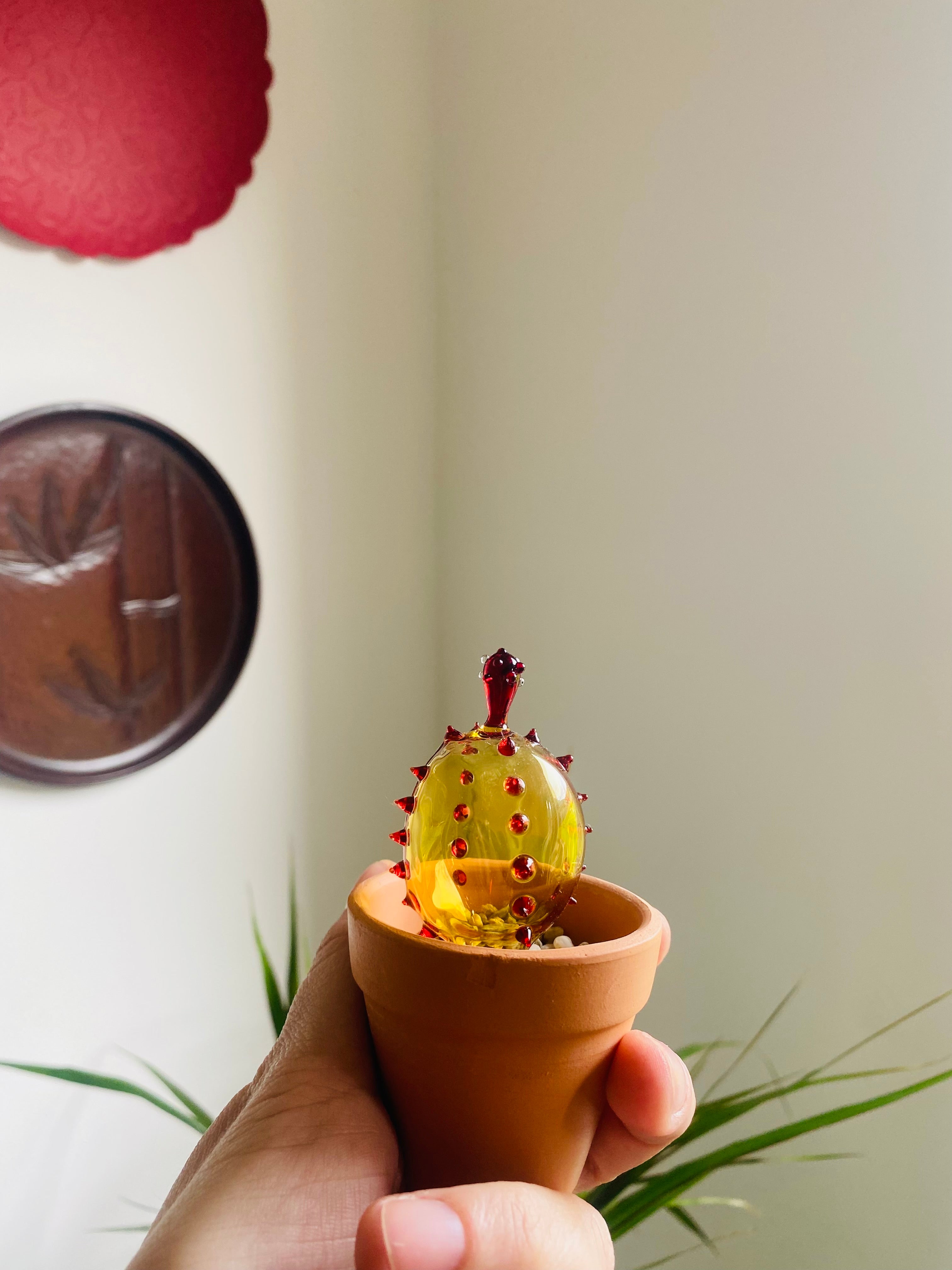 Mini Triple Glass Cactus Plant Set-4
