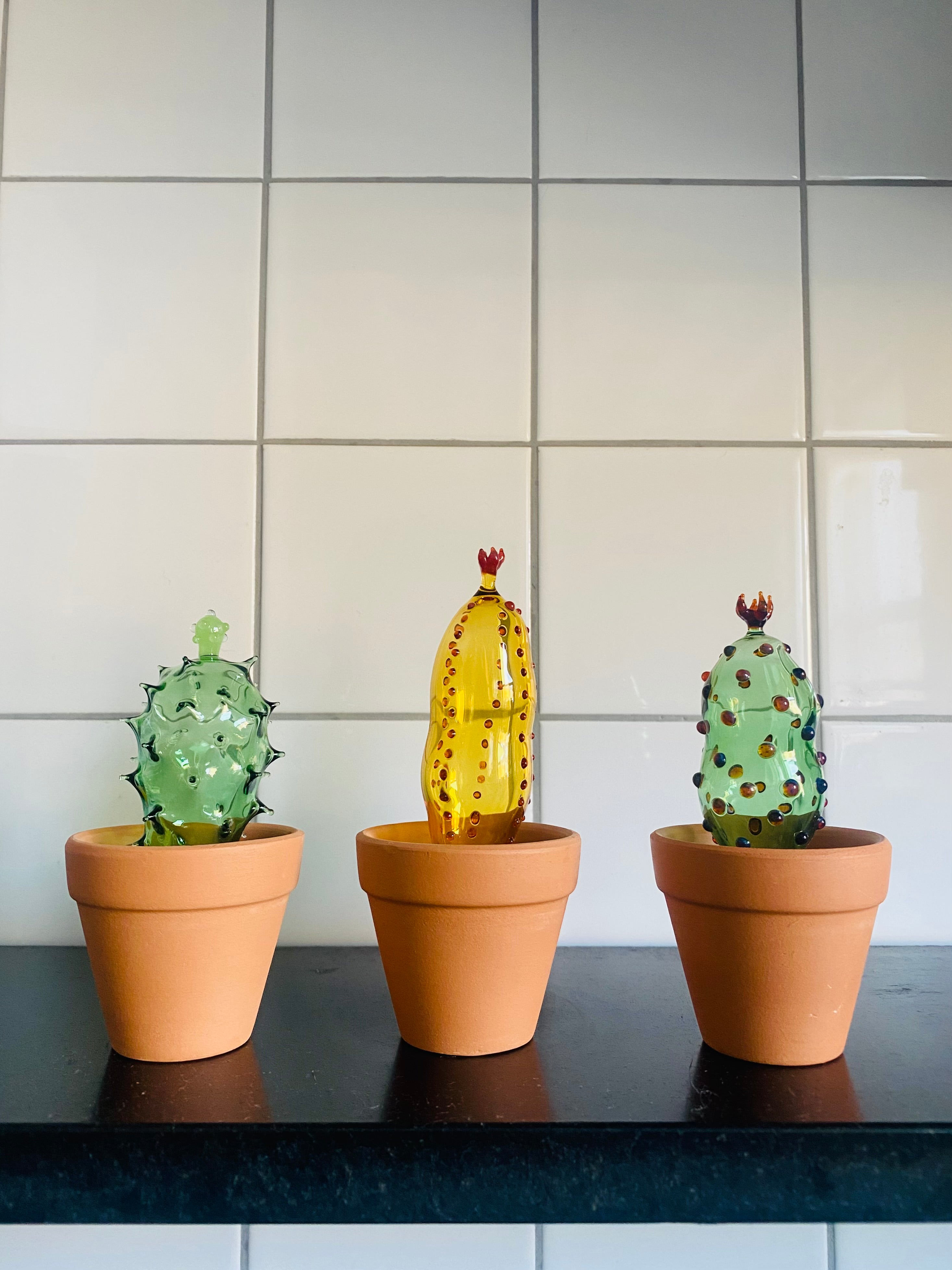 Mini Triple Glass Cactus Set-5