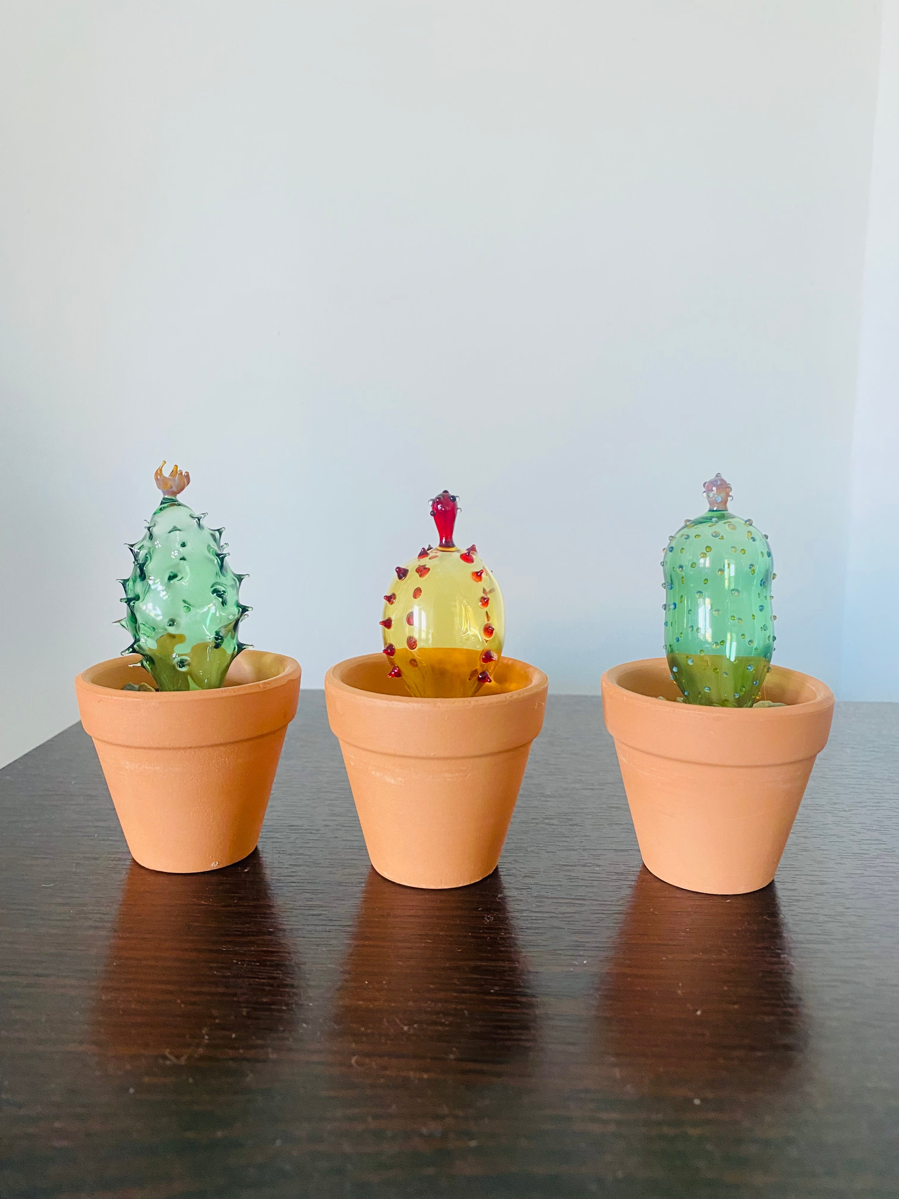 Mini Triple Glass Cactus Plant Set-4
