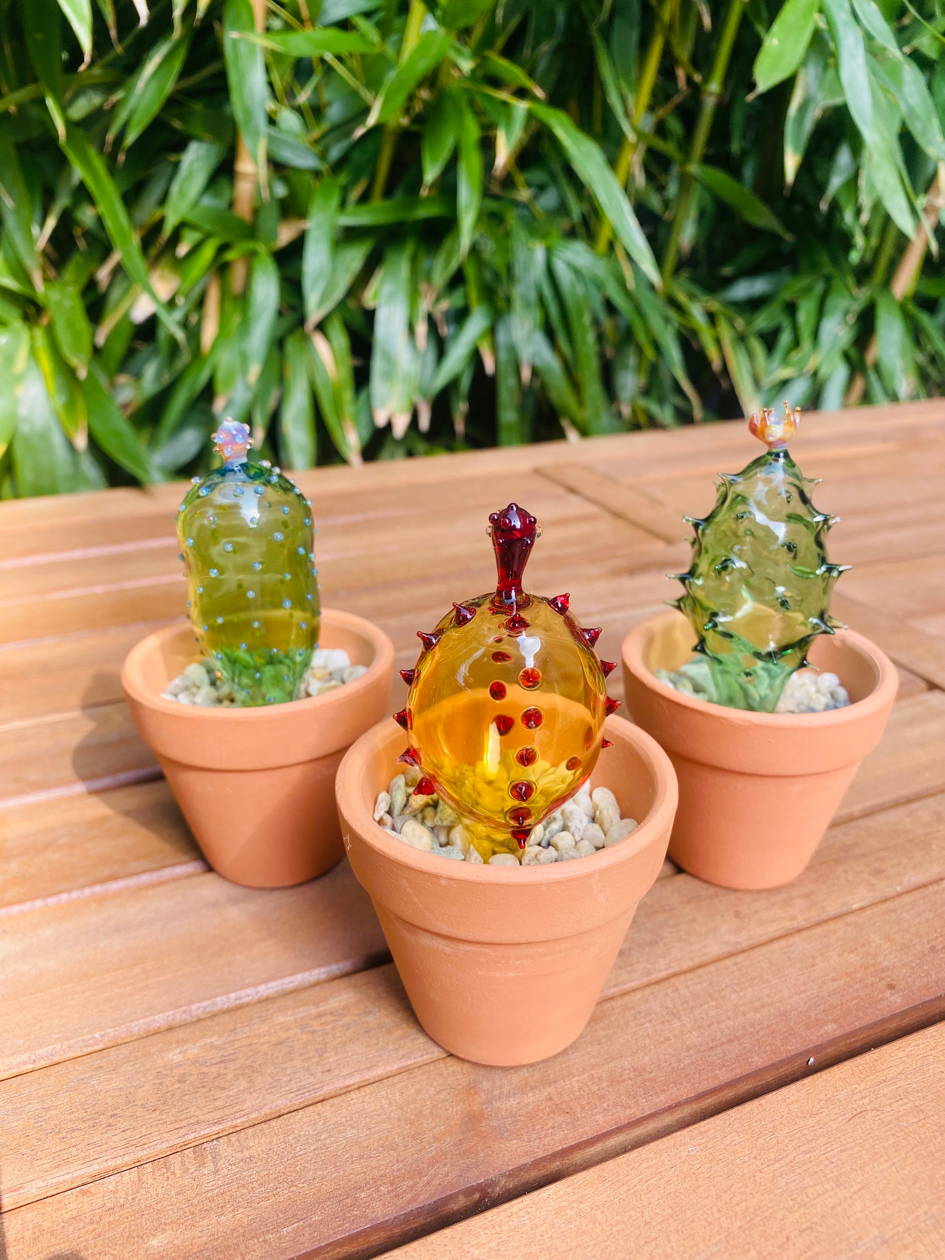 Mini Triple Glass Cactus Plant Set-4