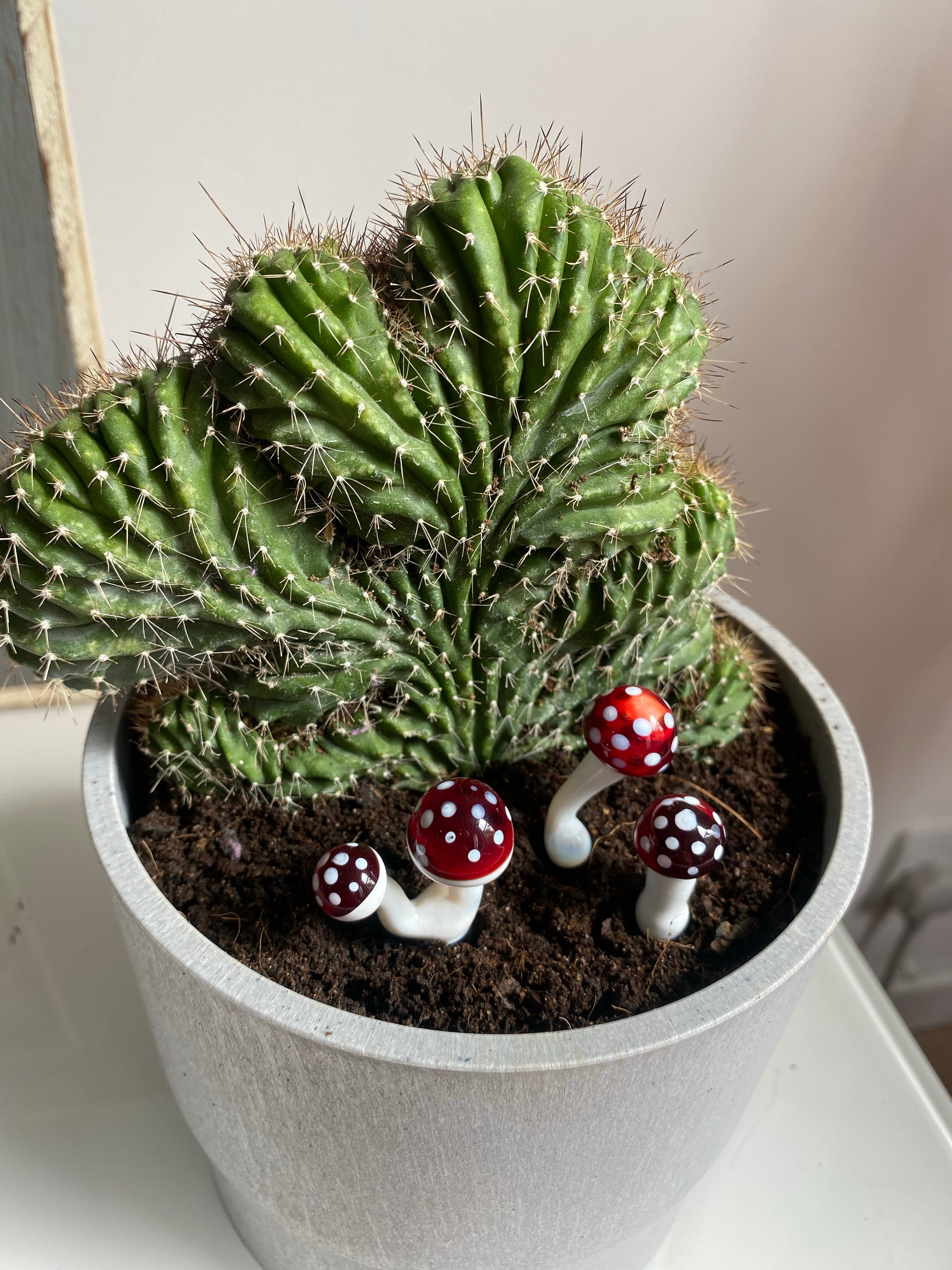 Triple Glass Mushroom Plant Stakes Set-6
