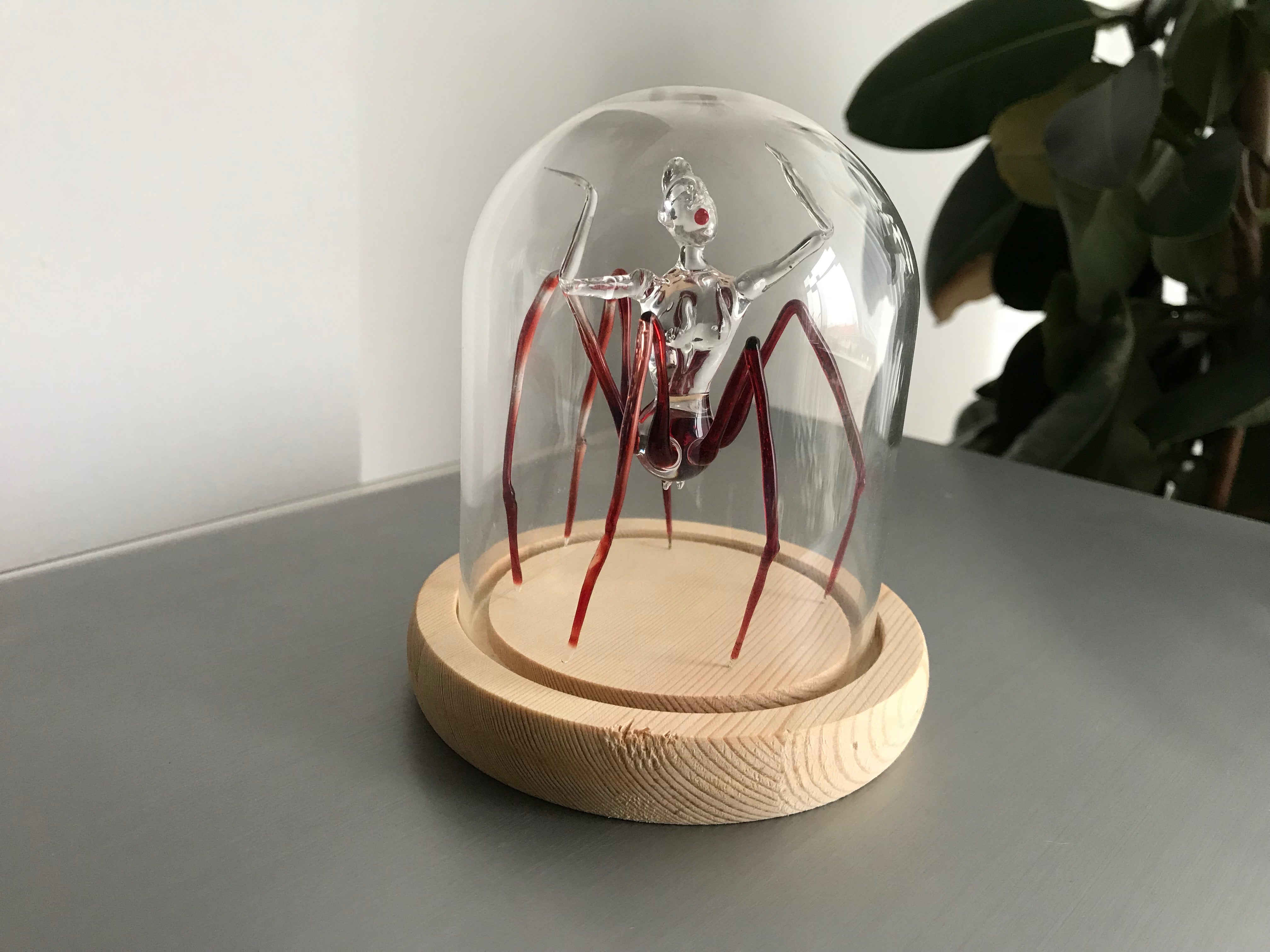 Arachne in a Glass Dome