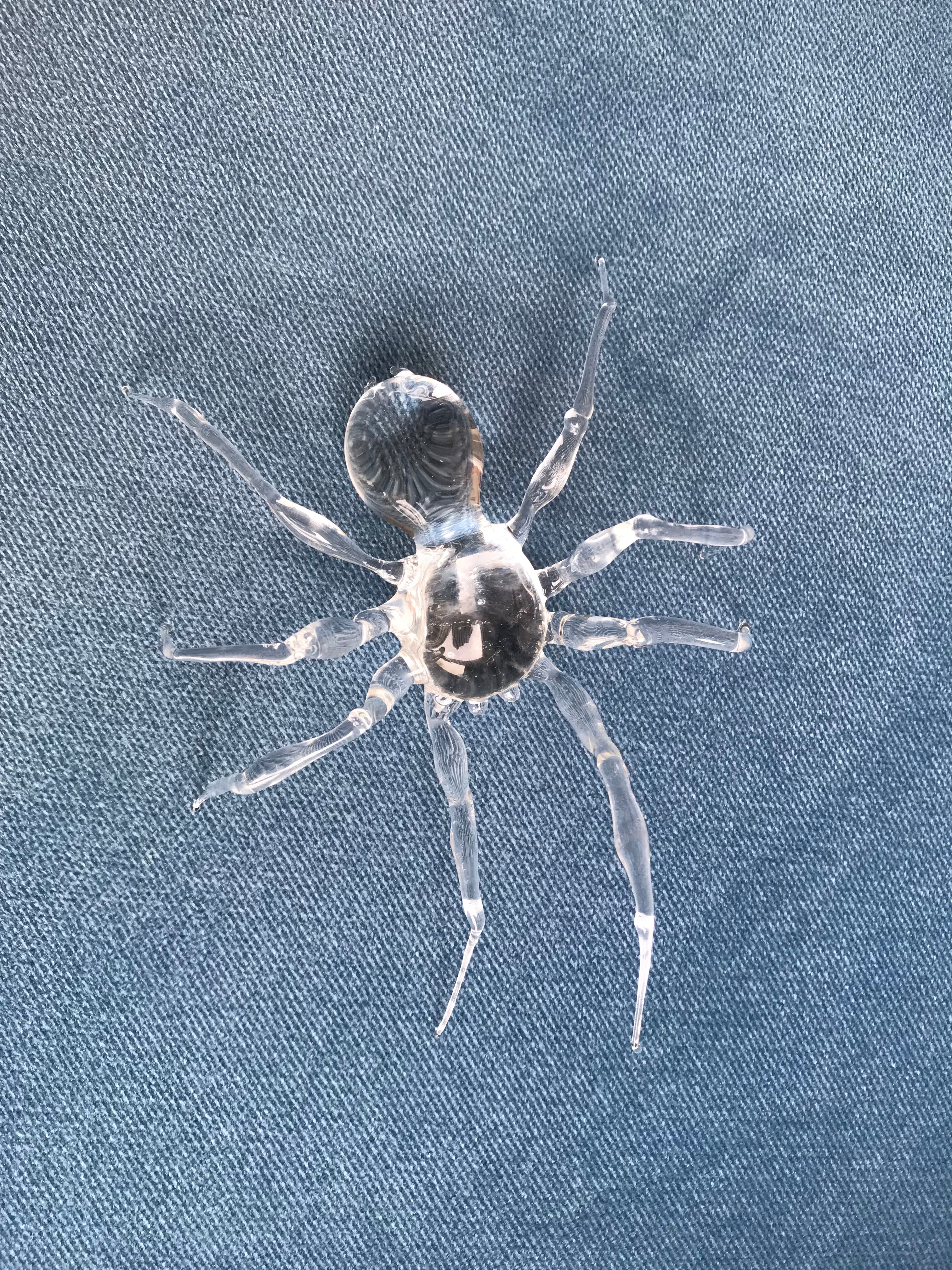 Clear Spider Sculpture