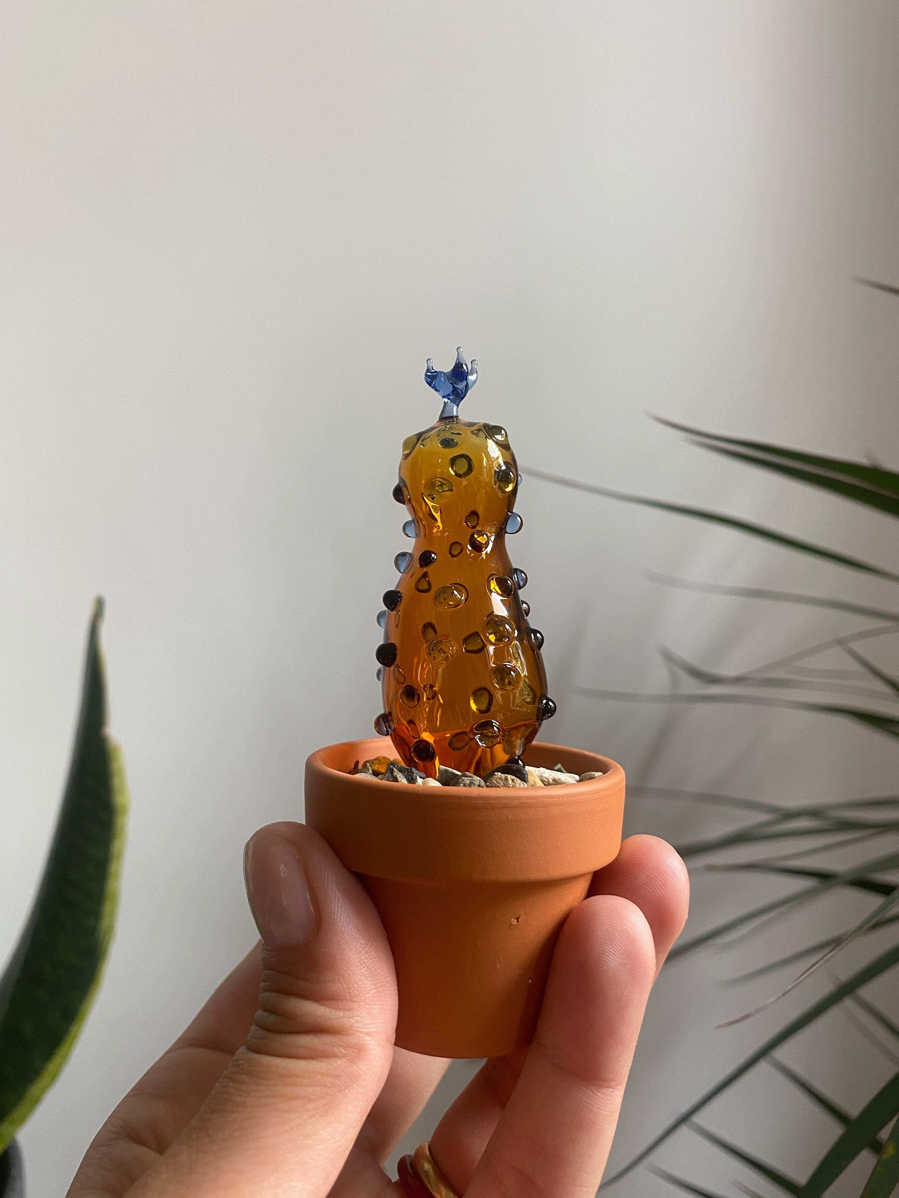 Mini Triple Glass Cactus Set-1